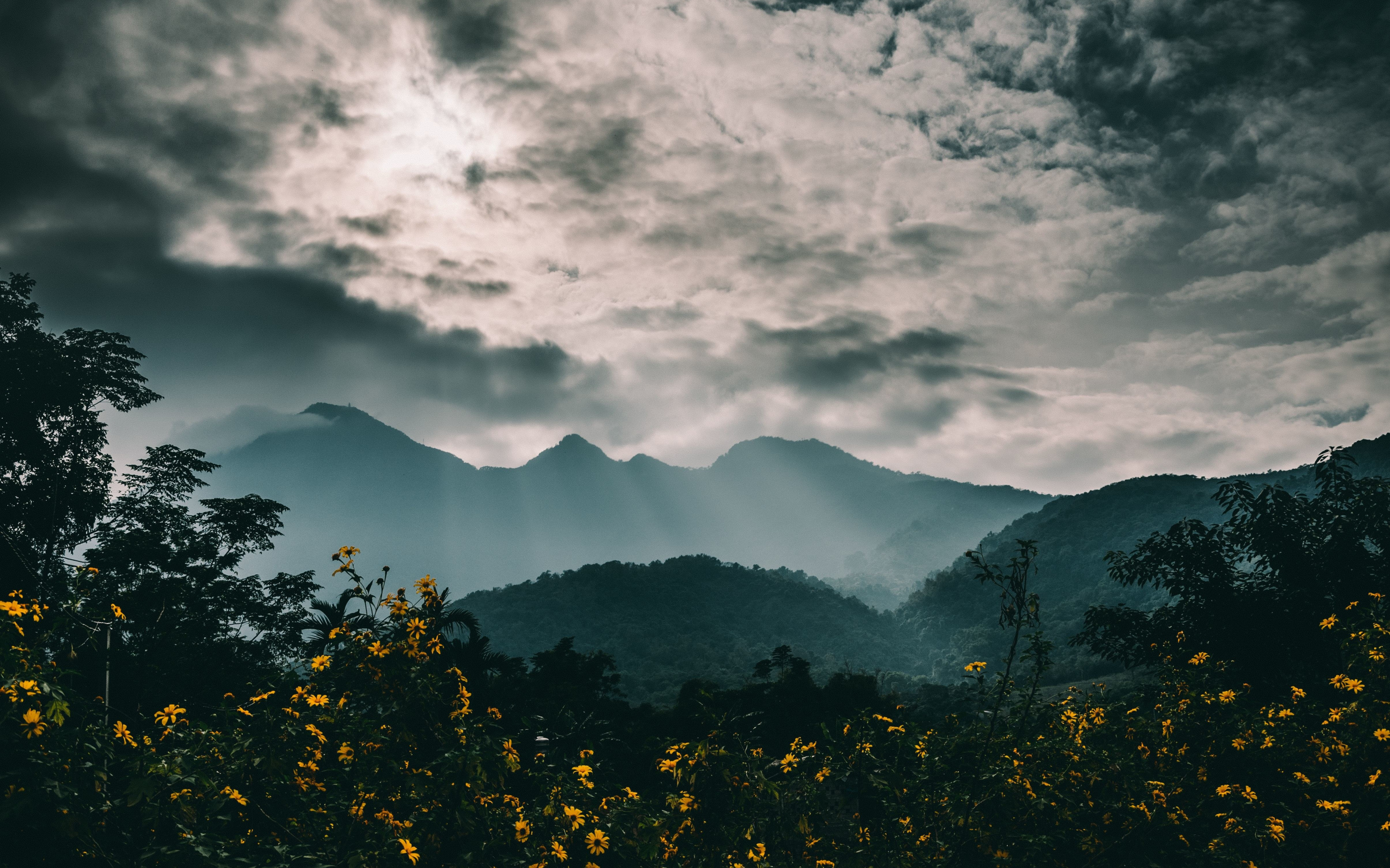 Mountains, fog, flowers, clouds, nature, 2880x1800 wallpaper