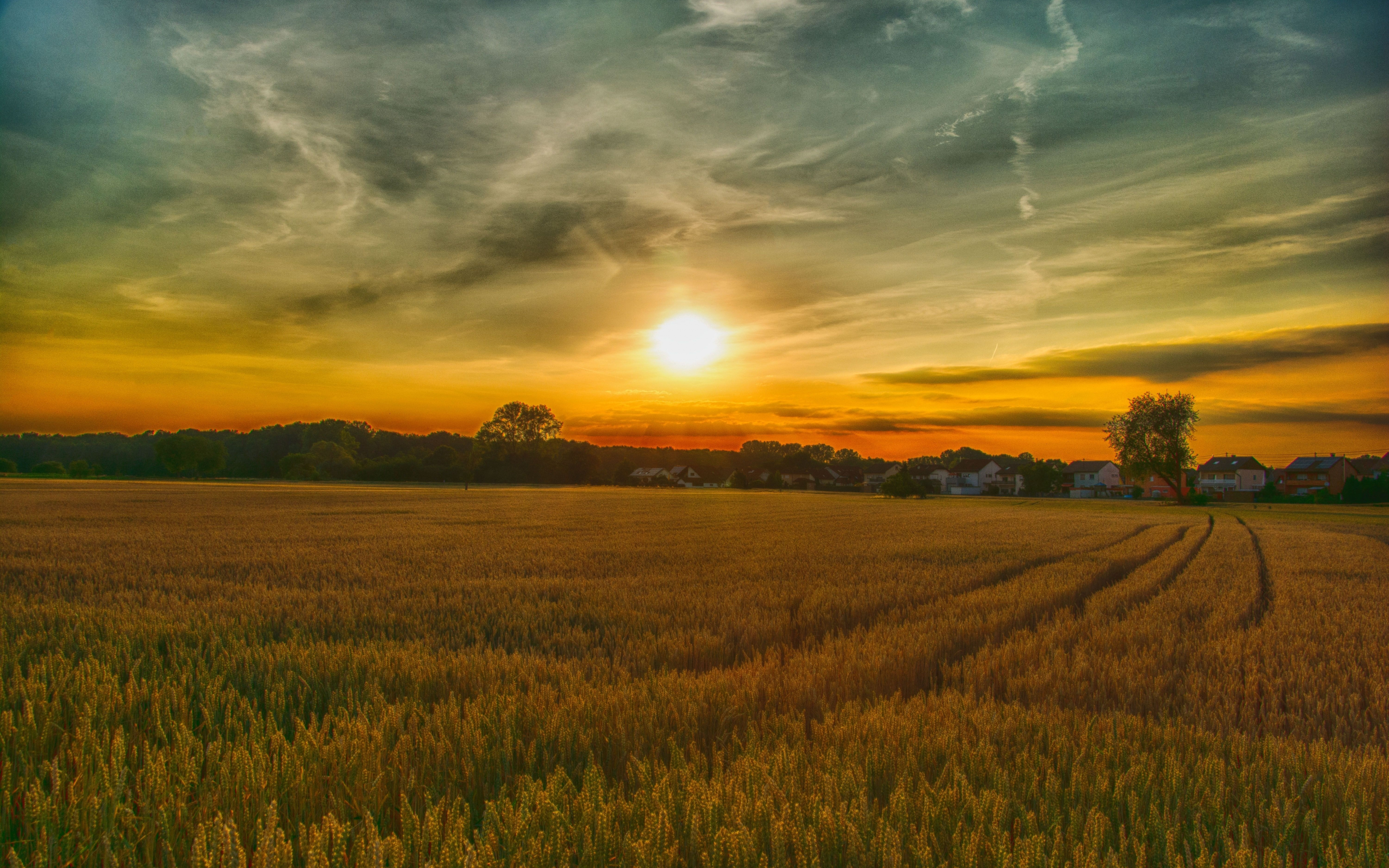 Summer, sunset, farm, landscape, nature, 2880x1800 wallpaper
