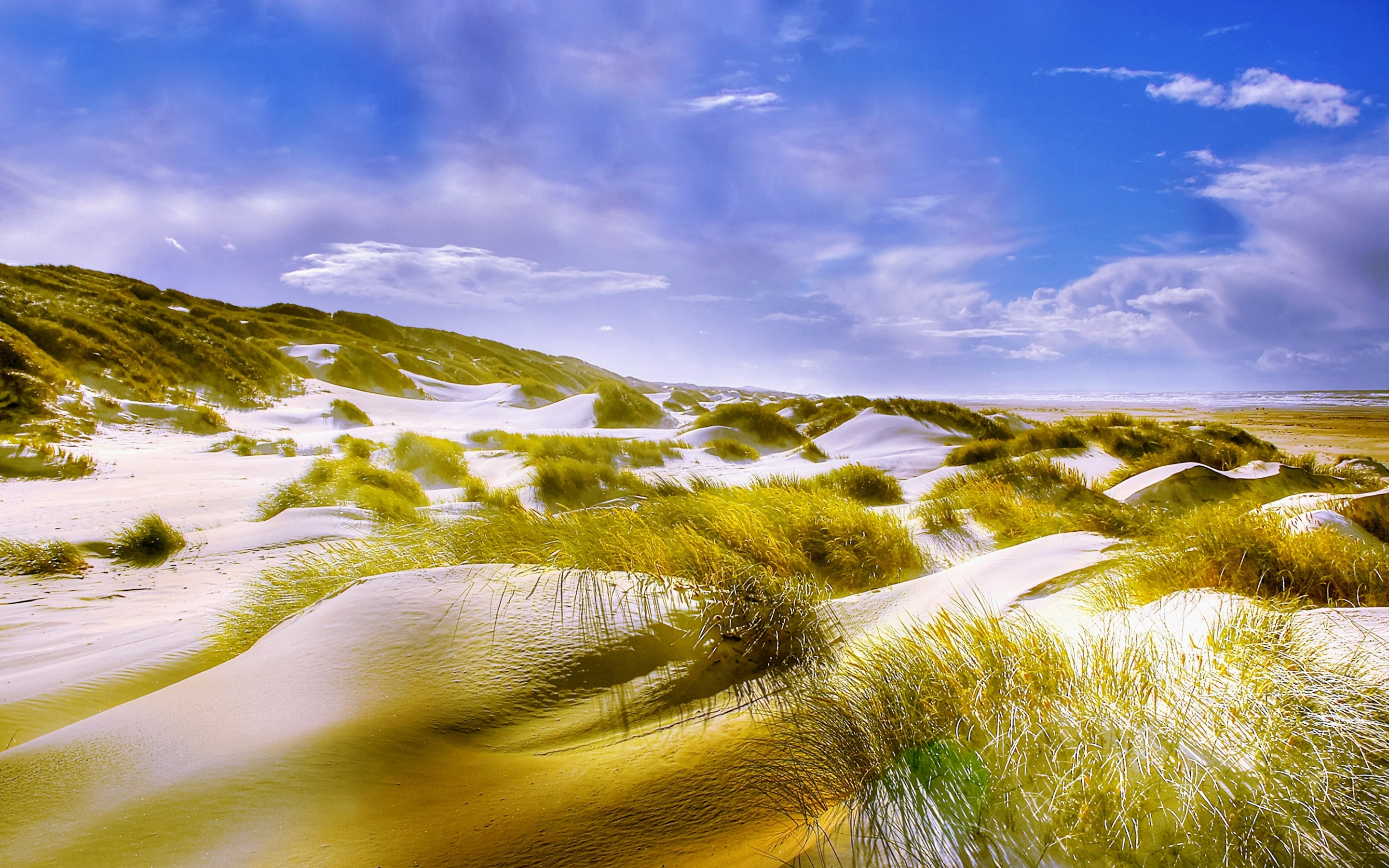 Grass, sand, beach, nature, landscape, 2880x1800 wallpaper
