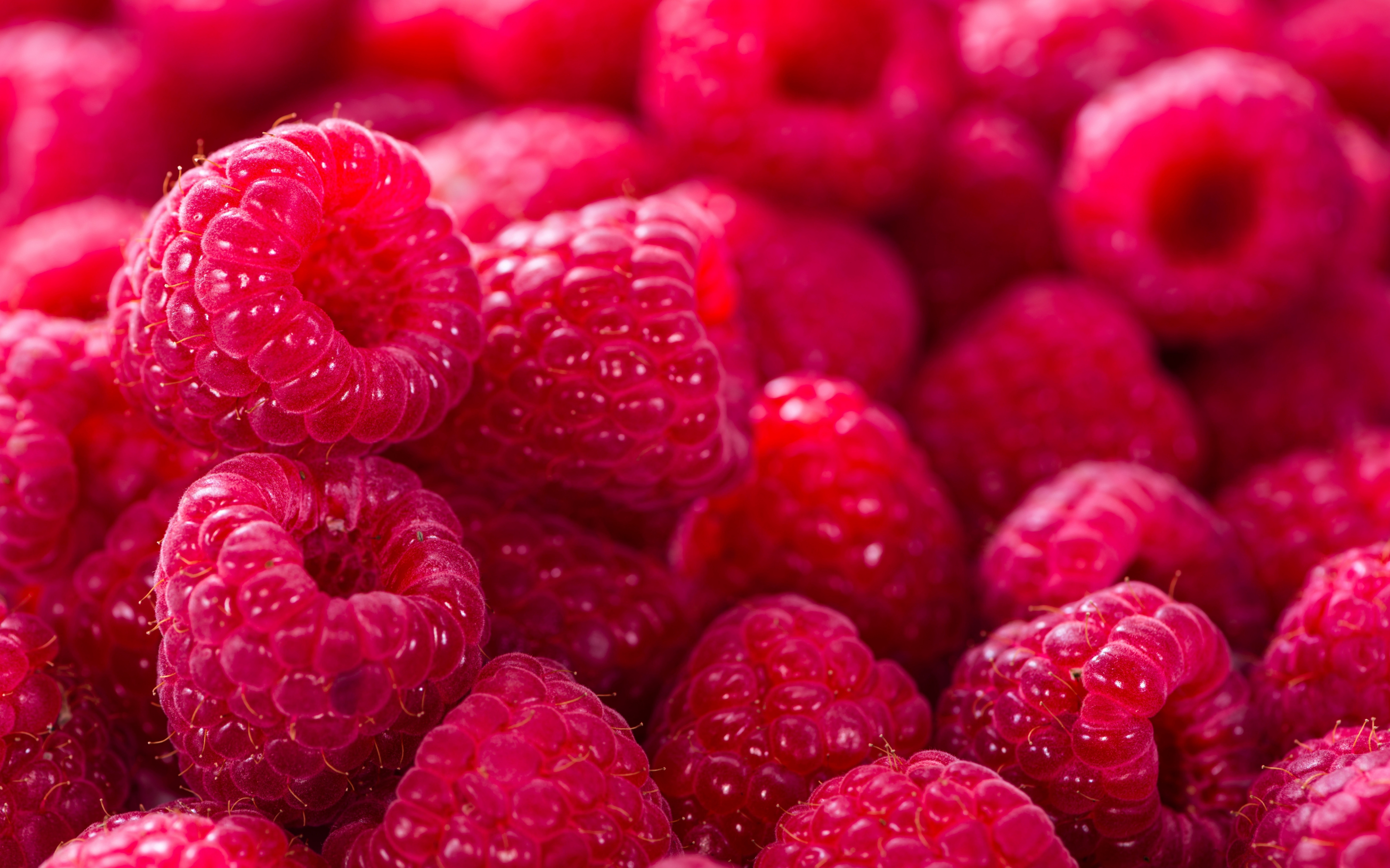 Raspberry, fruits, close up, fresh, 2880x1800 wallpaper