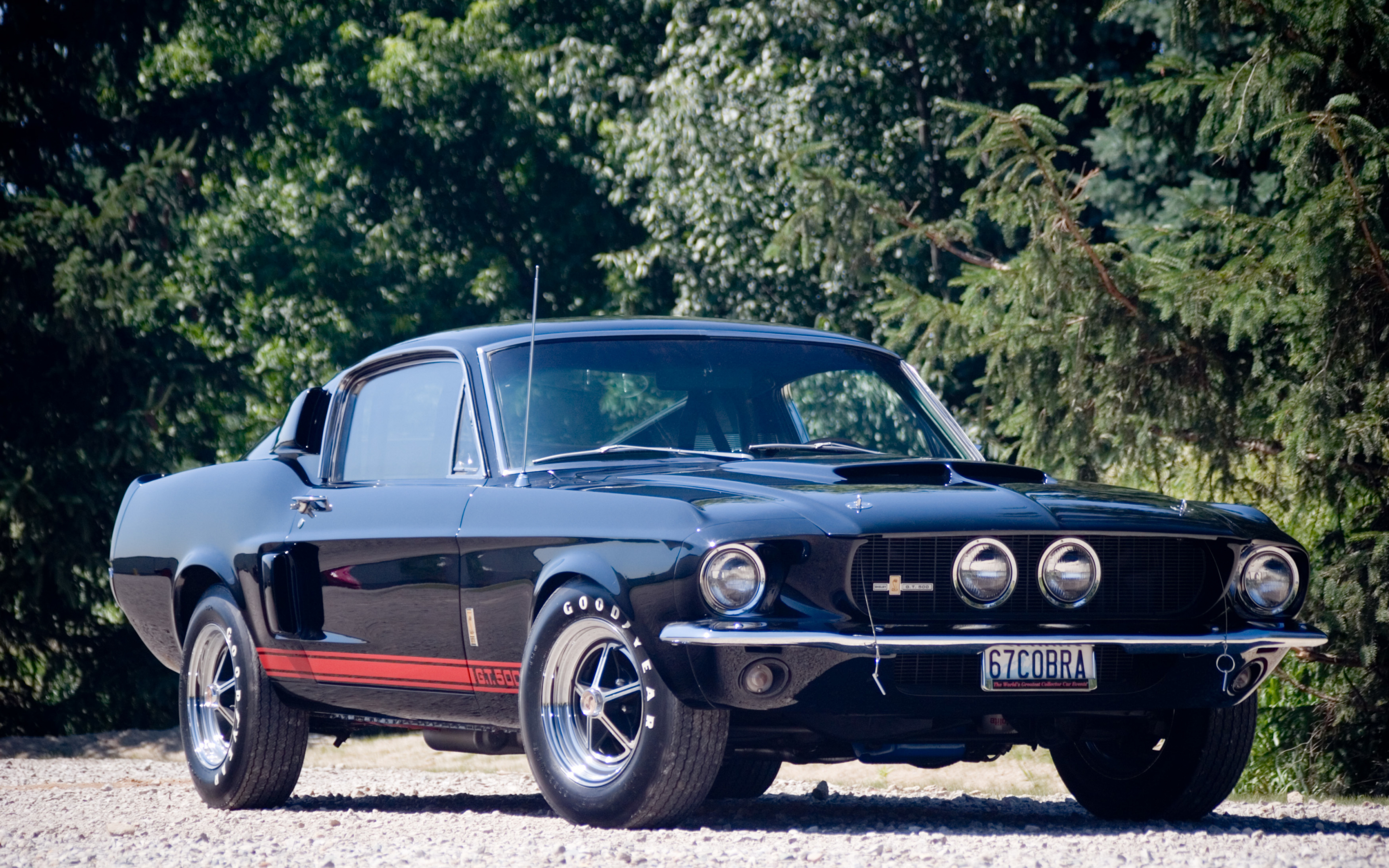 Front, muscle car, Shelby GT500, 2880x1800 wallpaper