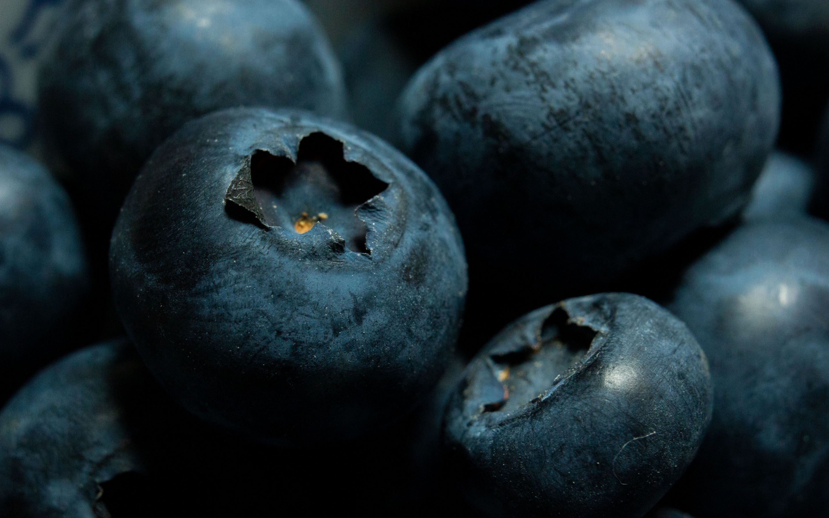 Blueberries, fresh, close up, 2880x1800 wallpaper