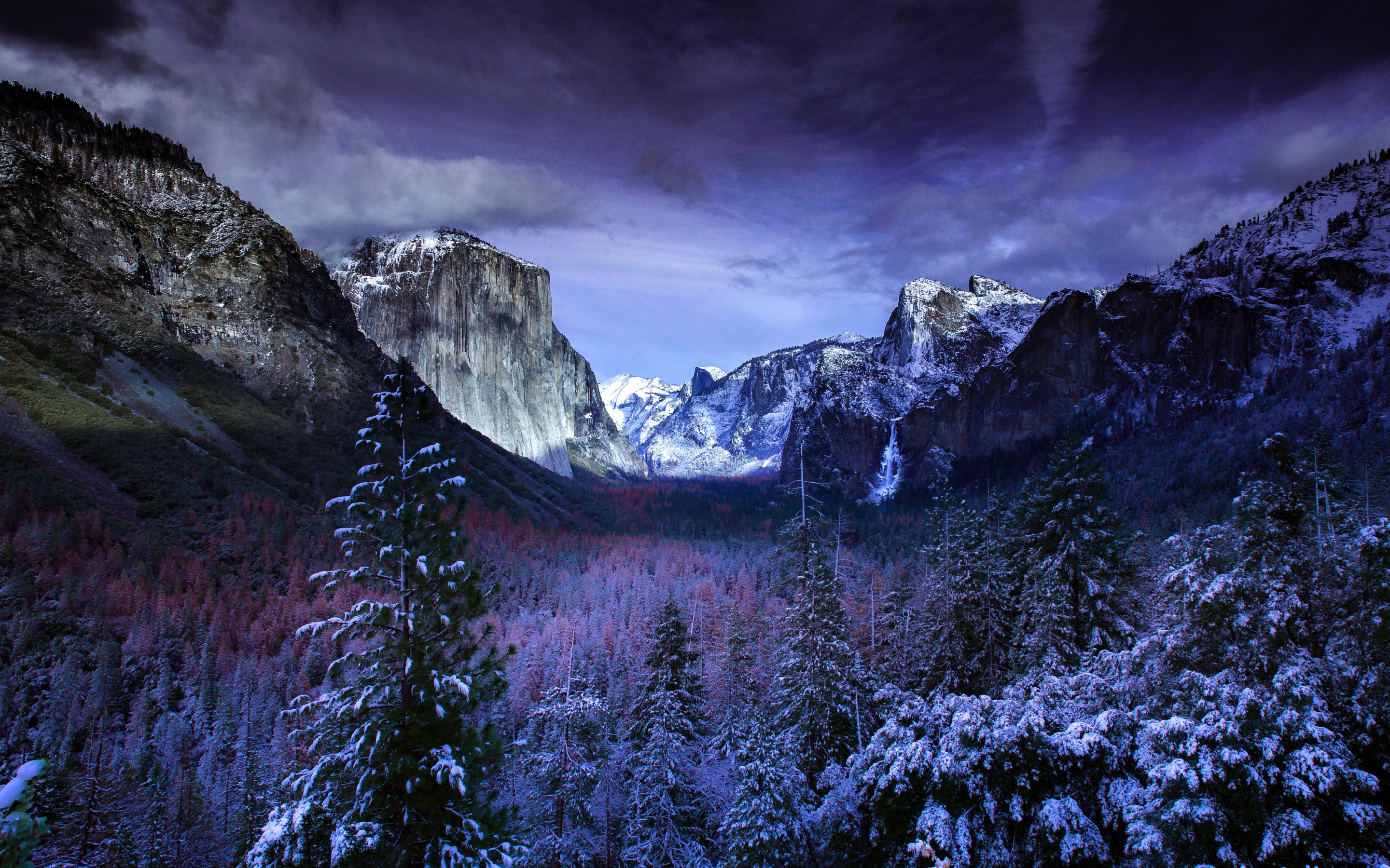 Yosemite valley, trees, sunset, winter, nature, 2880x1800 wallpaper