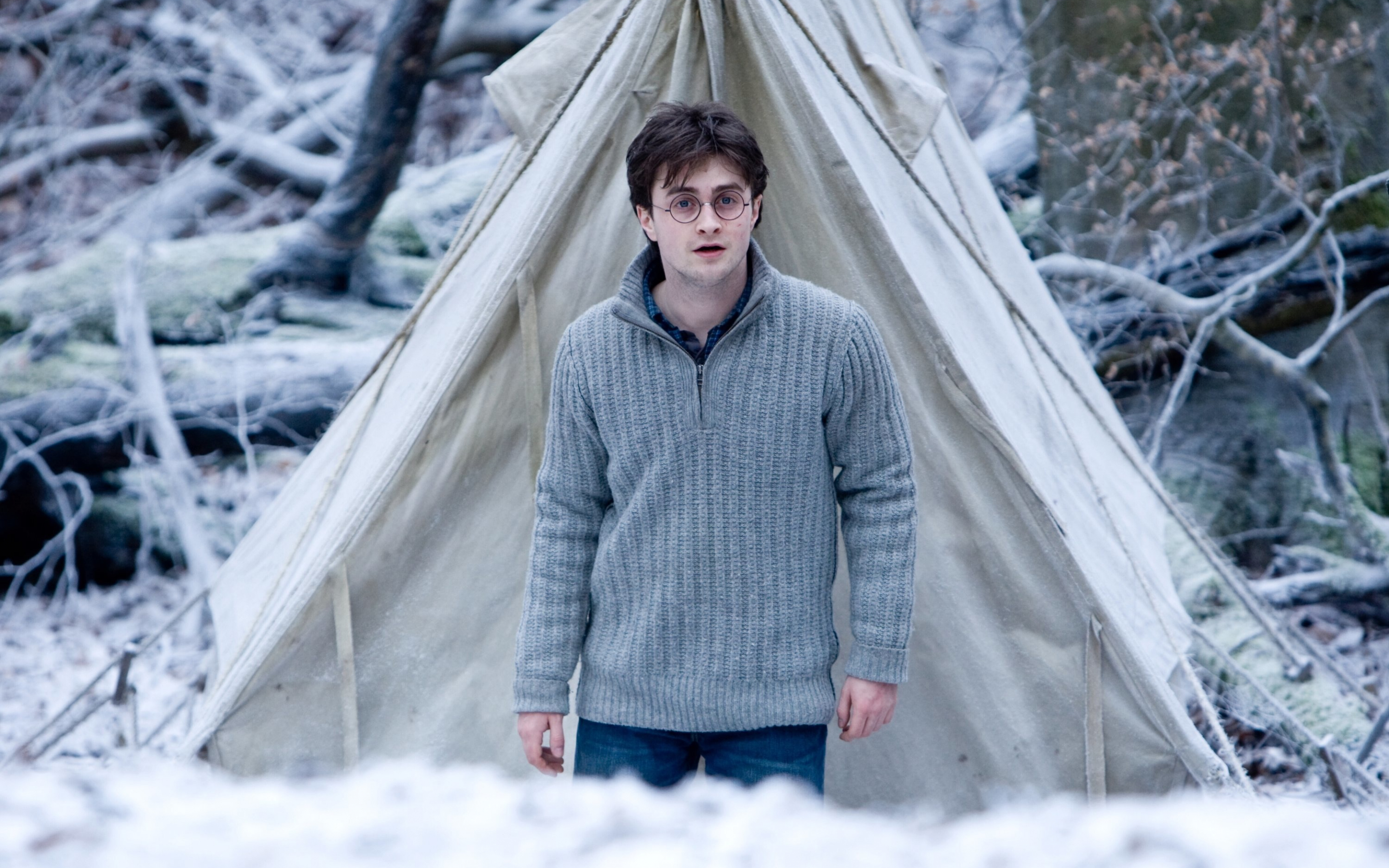 Harry Potter and the Deathly Hallows – Part 1, movie, Daniel Radcliffe, 2880x1800 wallpaper