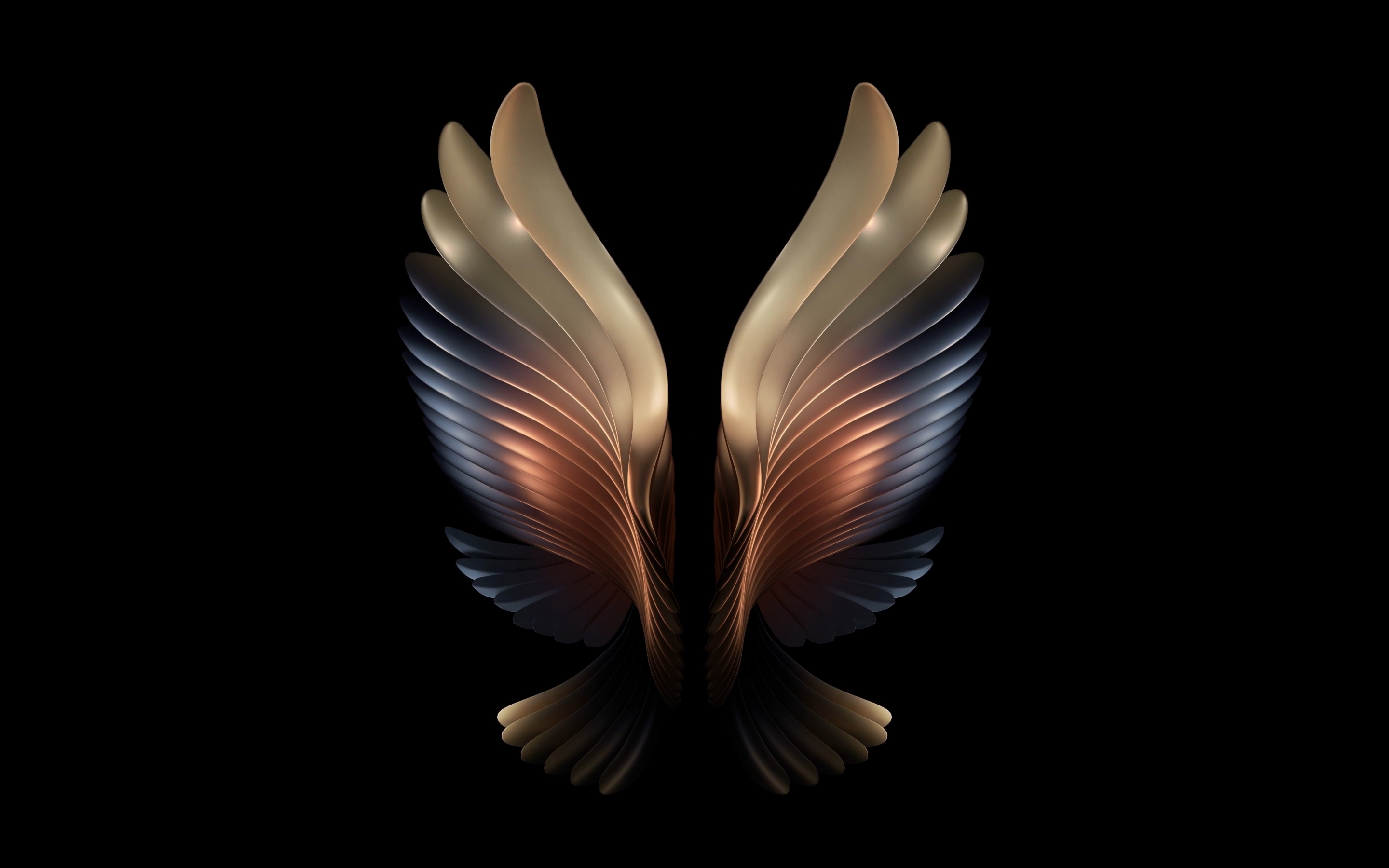 Amoled, angel wings, dark, 2880x1800 wallpaper