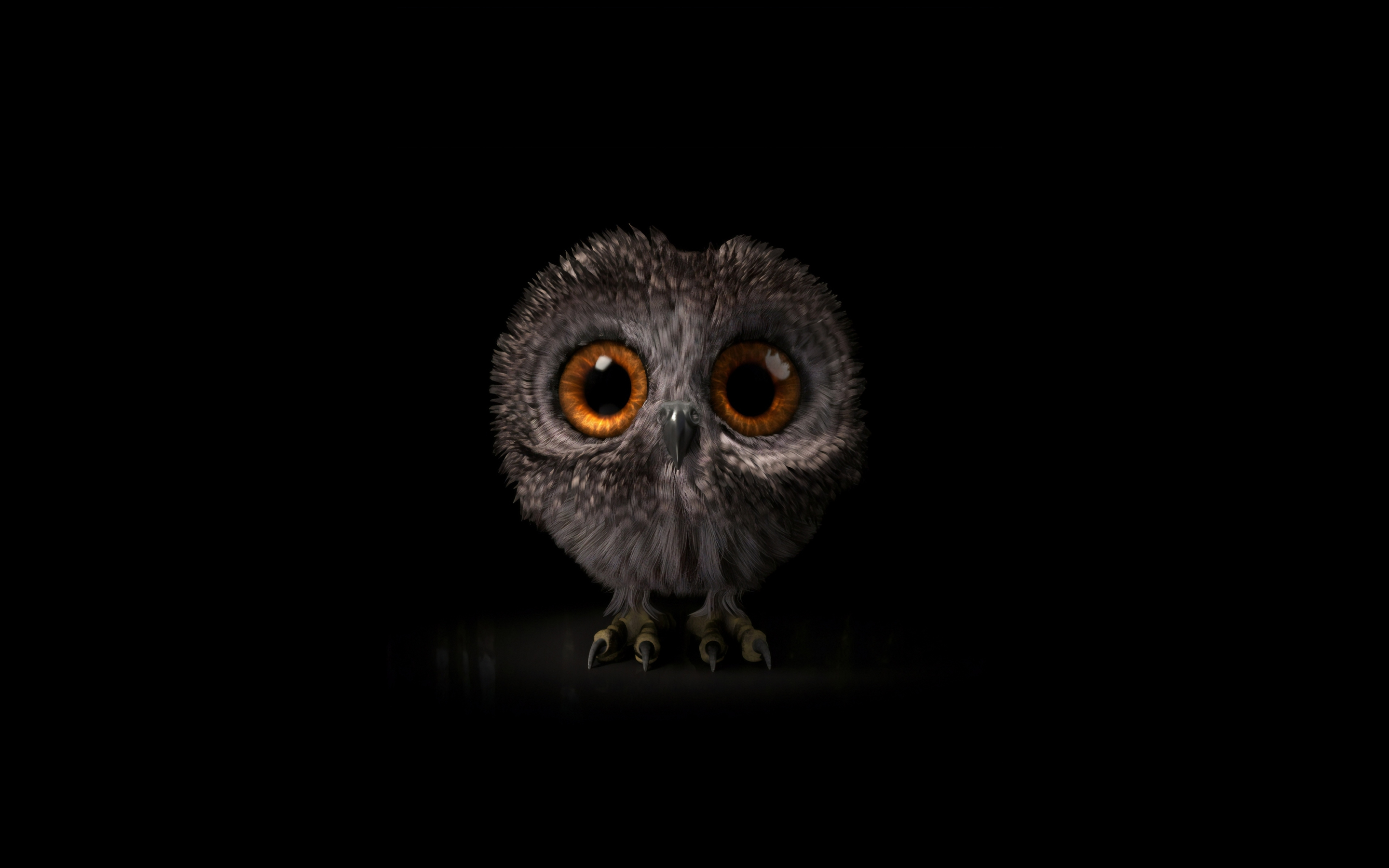 Pinfeather, fluffy owl, cute and adorable, 2880x1800 wallpaper