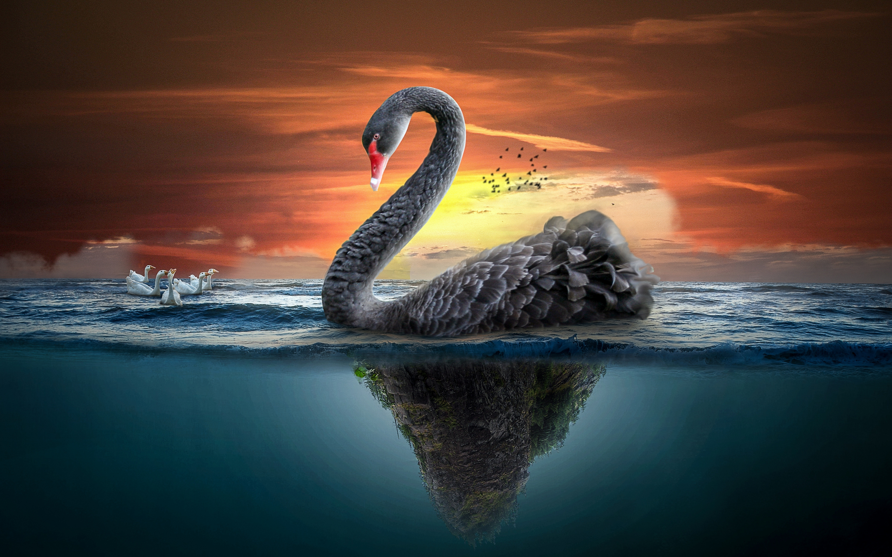 Big Black swan, fantasy, 2880x1800 wallpaper