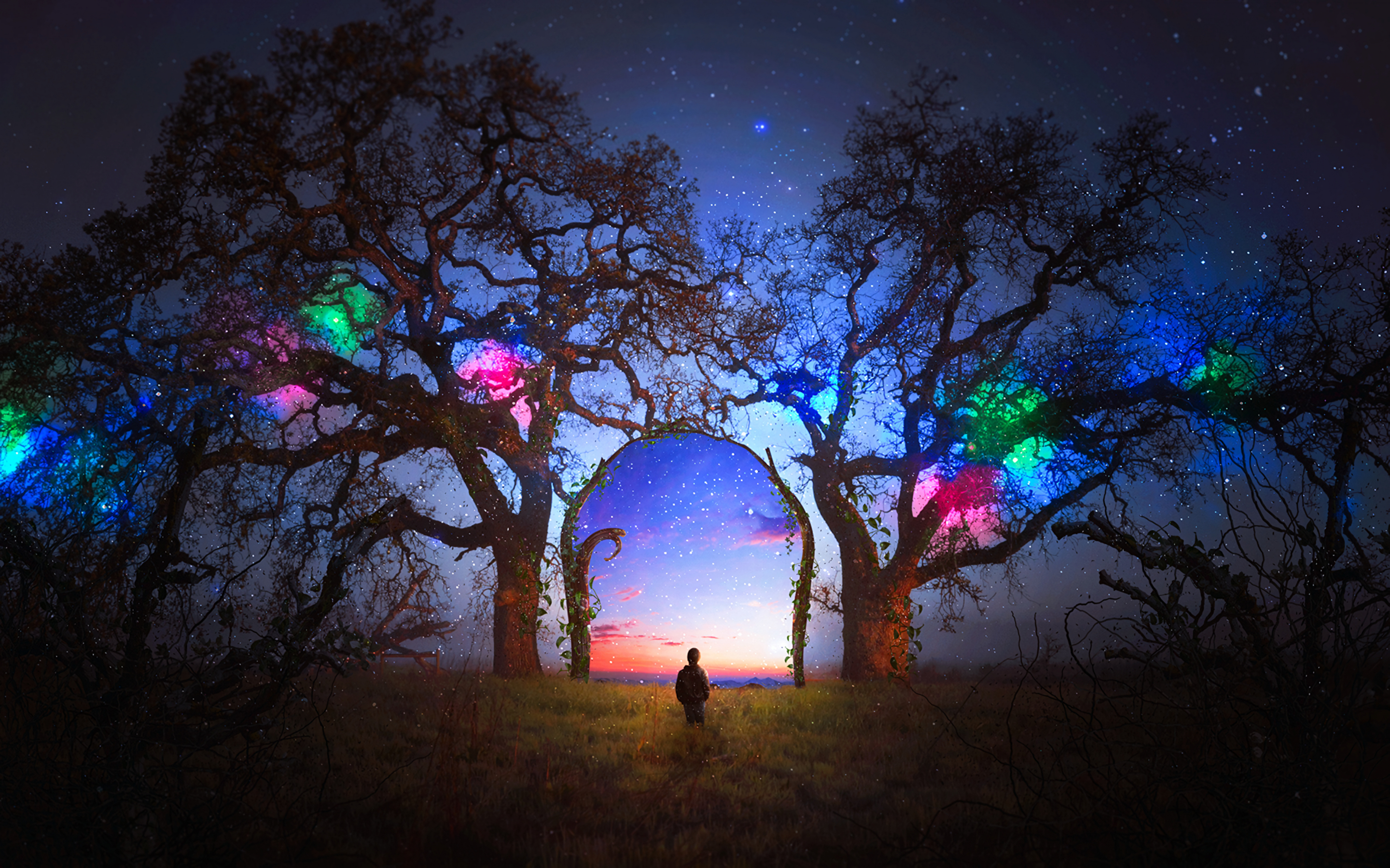 Colorful, silhouette, arch, starry sky, landscape, tree, 2880x1800 wallpaper