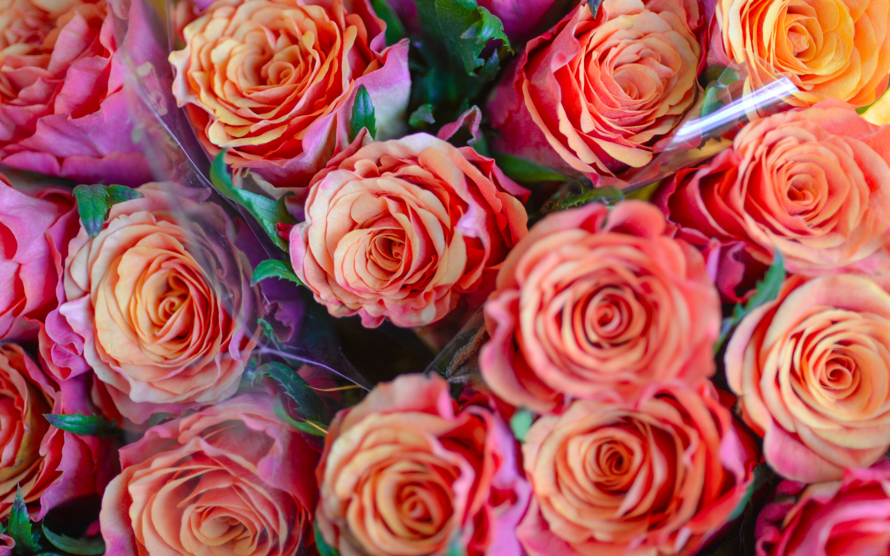 Bouquet, red roses, flowers, gift, 2880x1800 wallpaper