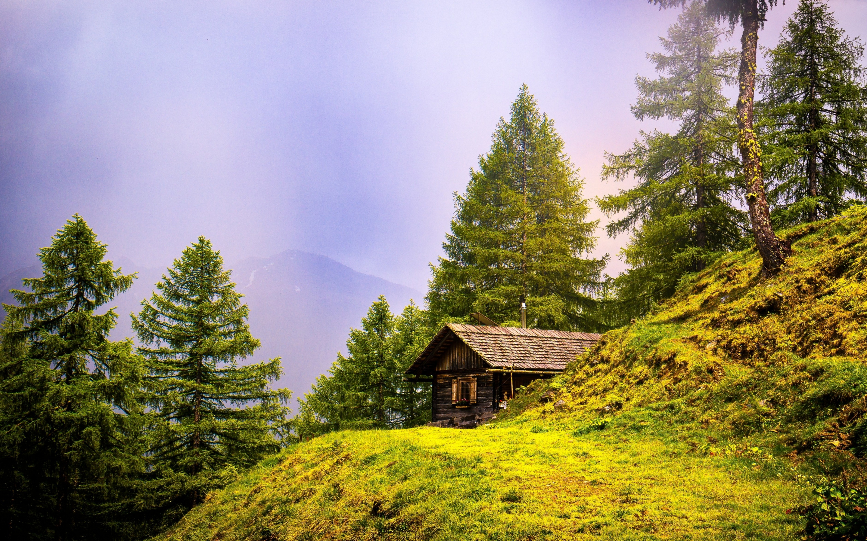 Alpine, hut, landscape, nature, trees, 2880x1800 wallpaper