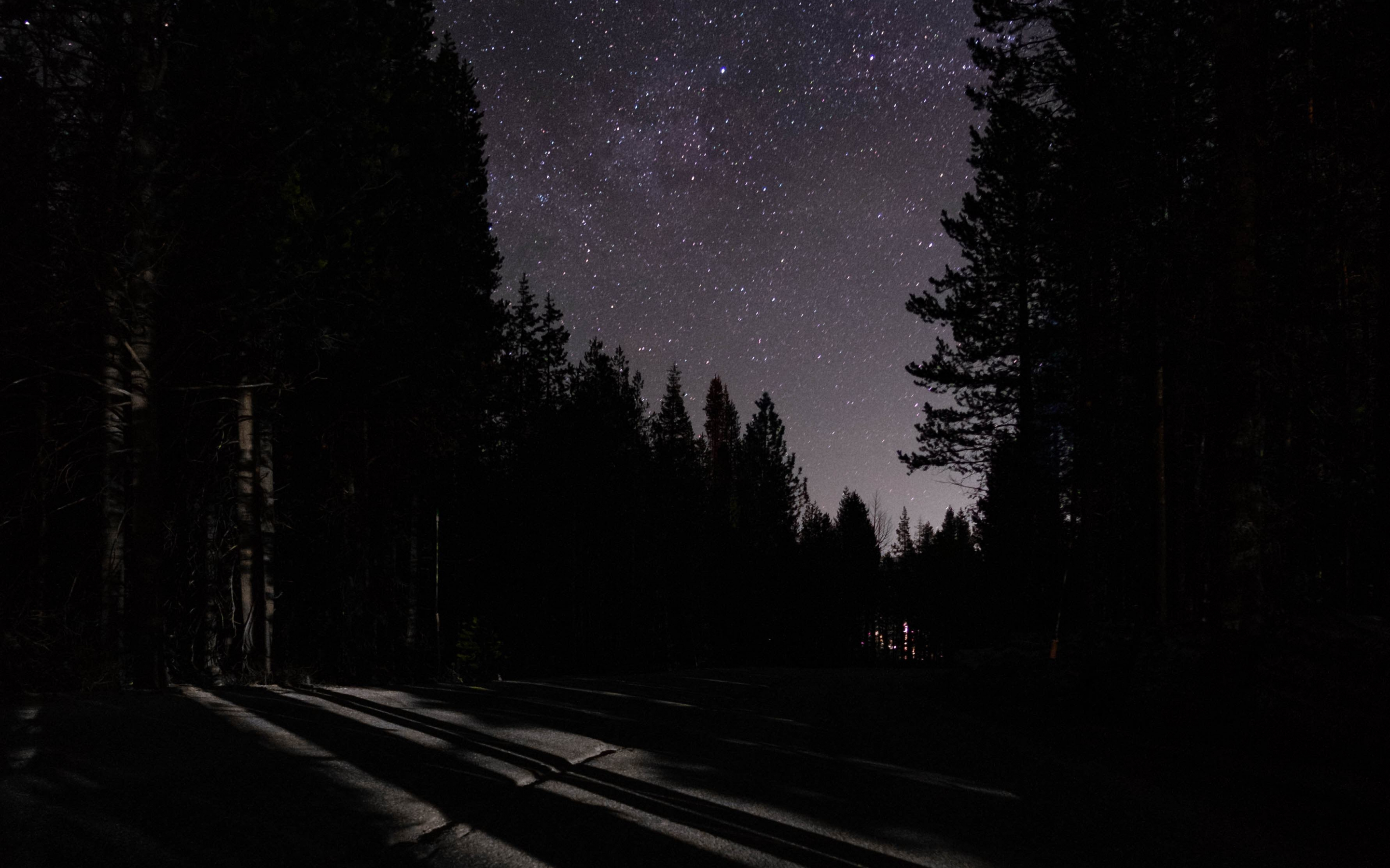 Night, dark, road, starry sky, trees, 2880x1800 wallpaper