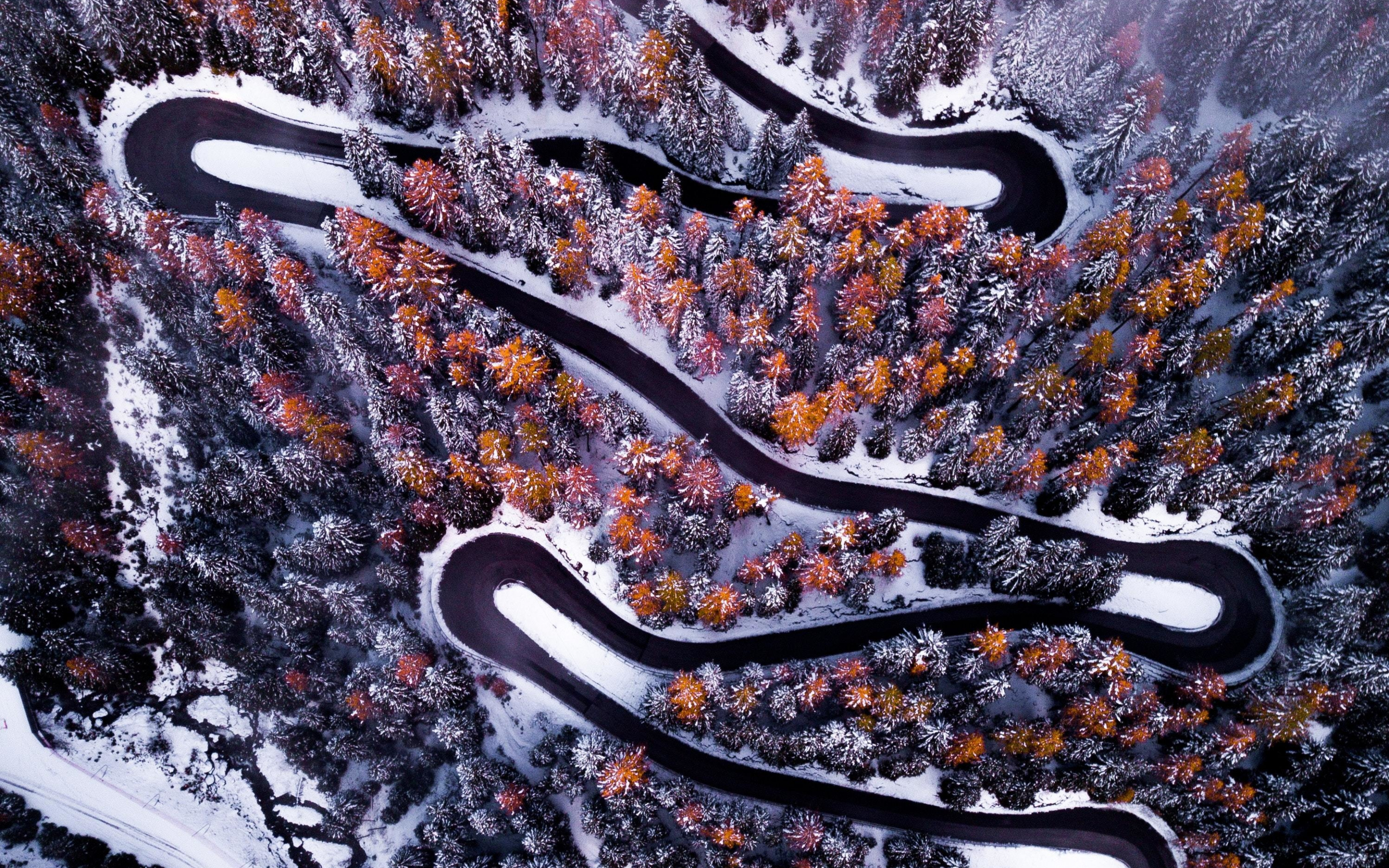 Turns, road, winter, forest, aerial view, 2880x1800 wallpaper