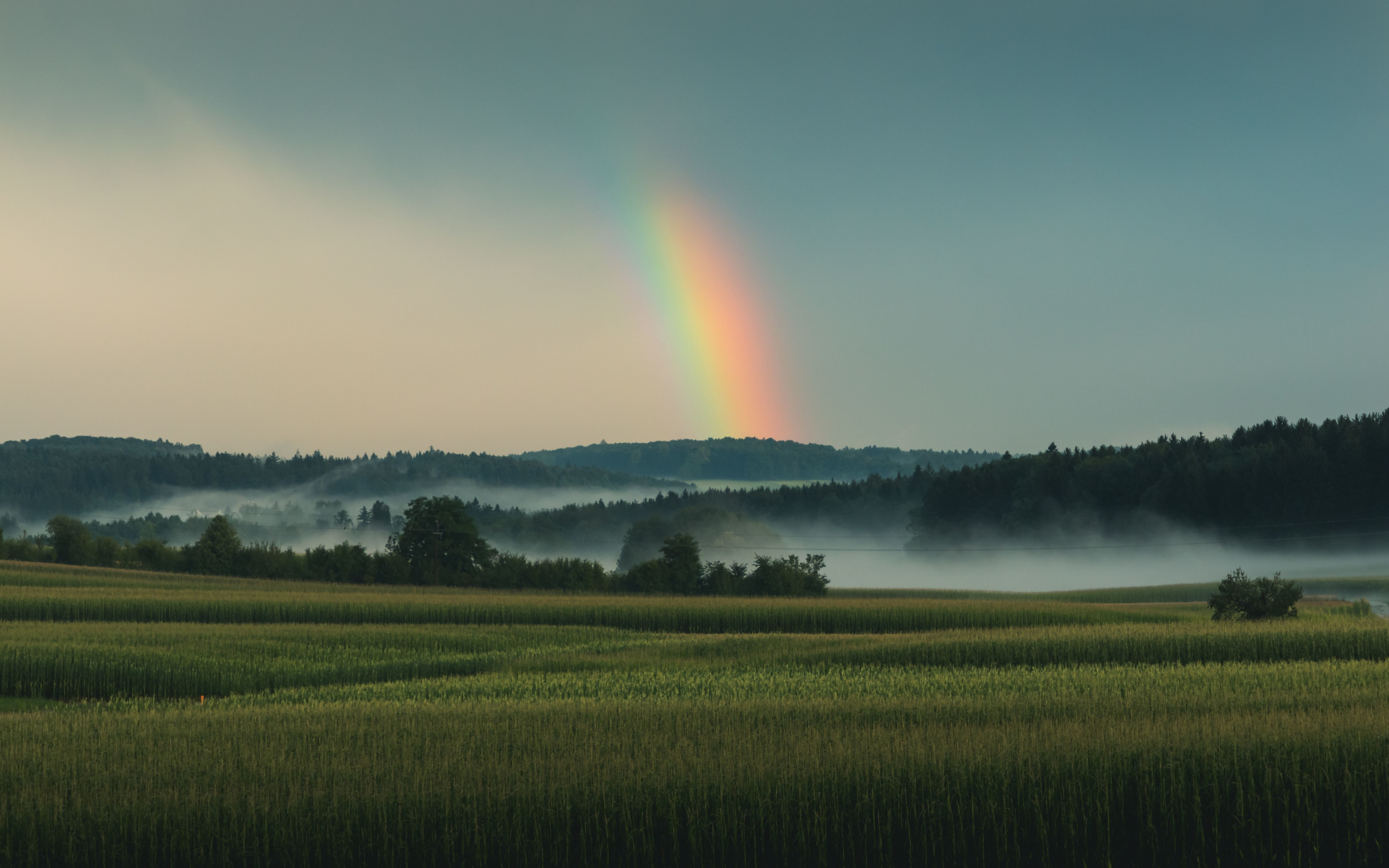 Grassland, landscape, sky, rainbow, 2880x1800 wallpaper