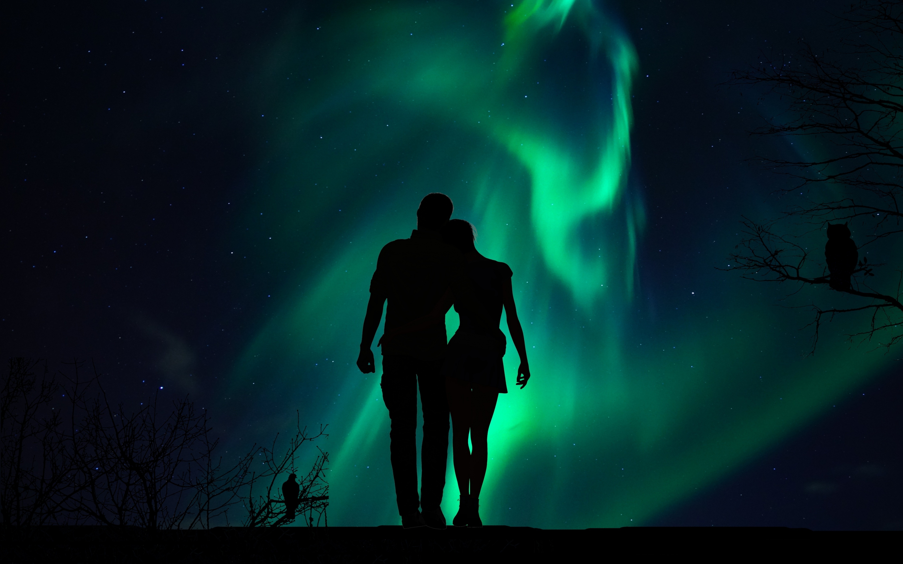 Aurora, couple, silhouette, love, 2880x1800 wallpaper