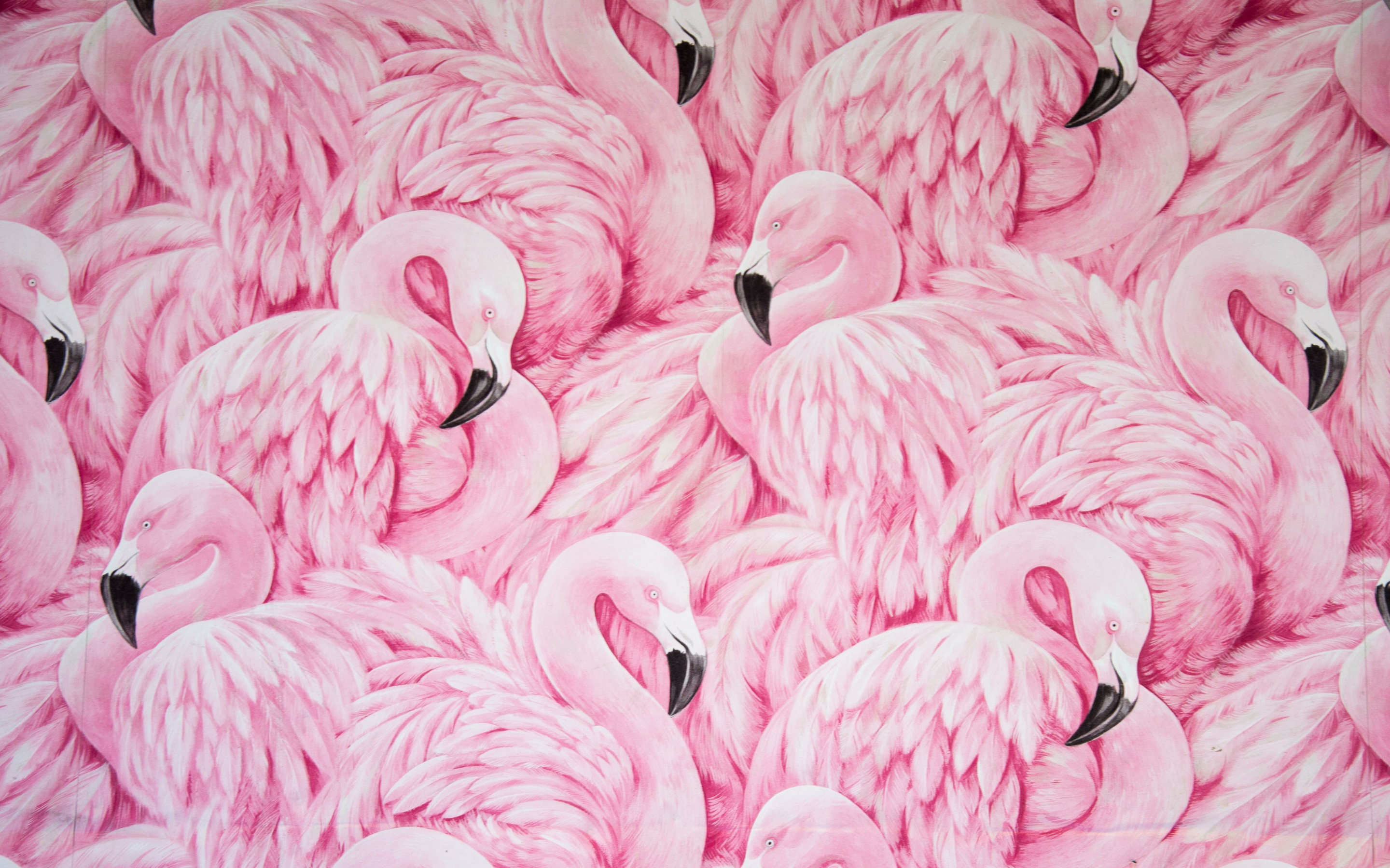 Pink flamingos, bird artwork, 2880x1800 wallpaper