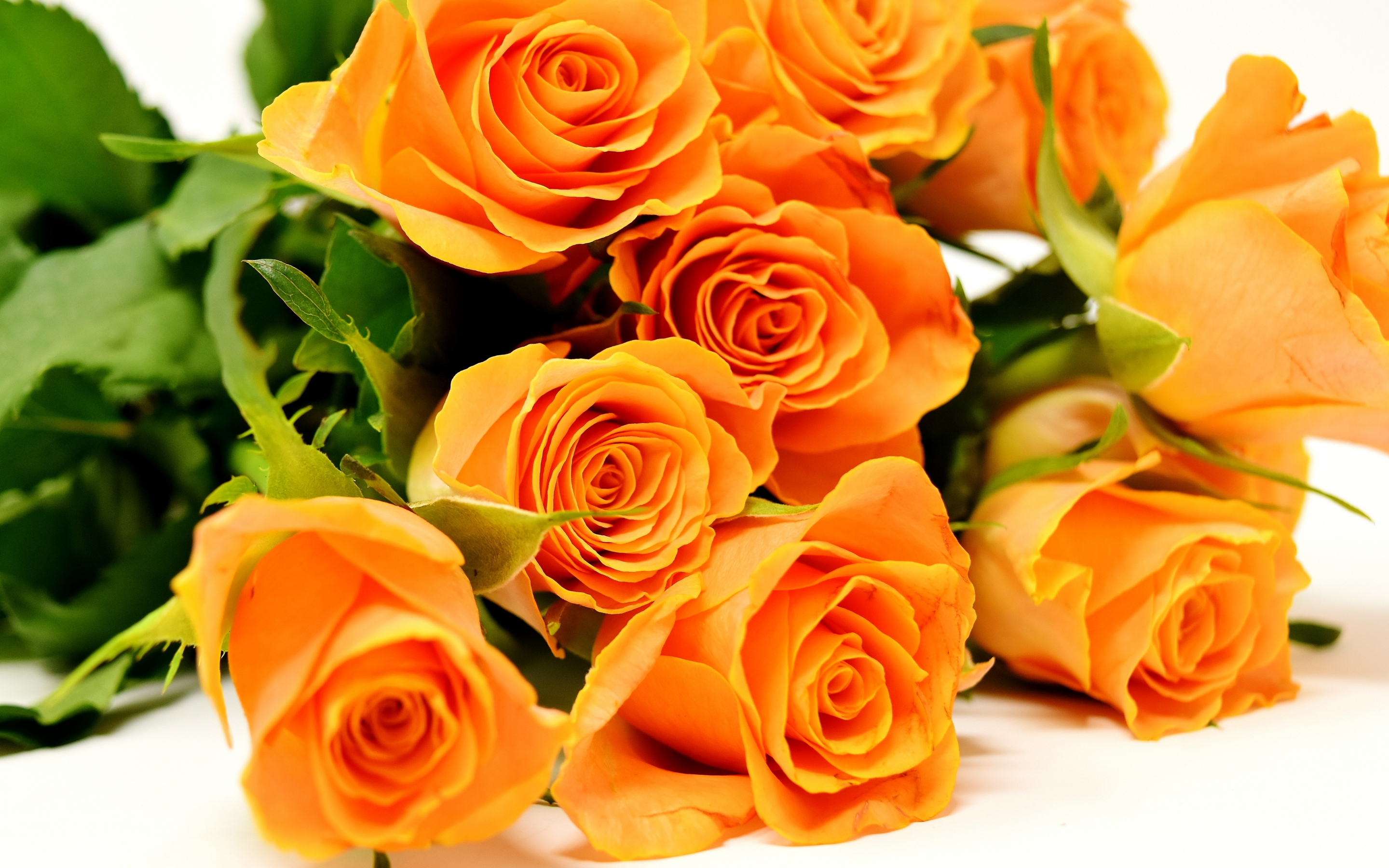 Roses, flowers, bouquet, orange, 2880x1800 wallpaper