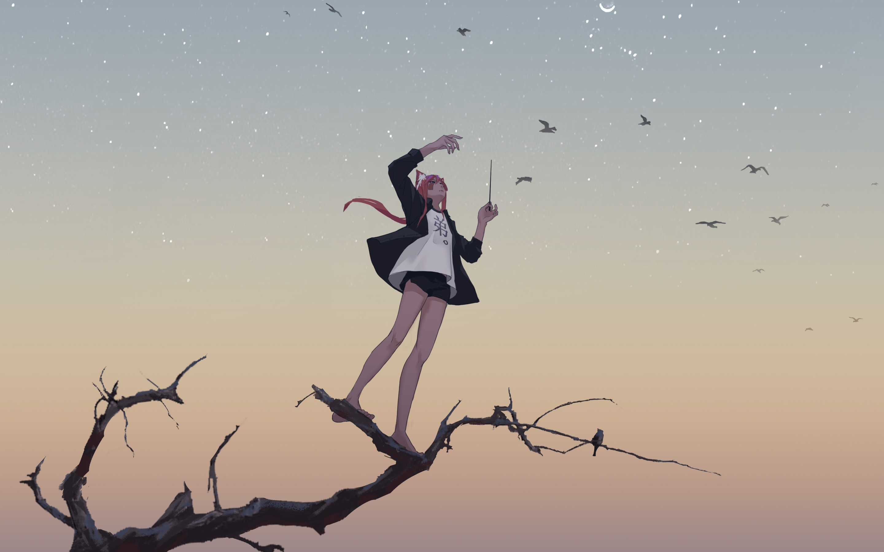 Relaxed, anime girl, birds, sunset, sky, art, 2880x1800 wallpaper
