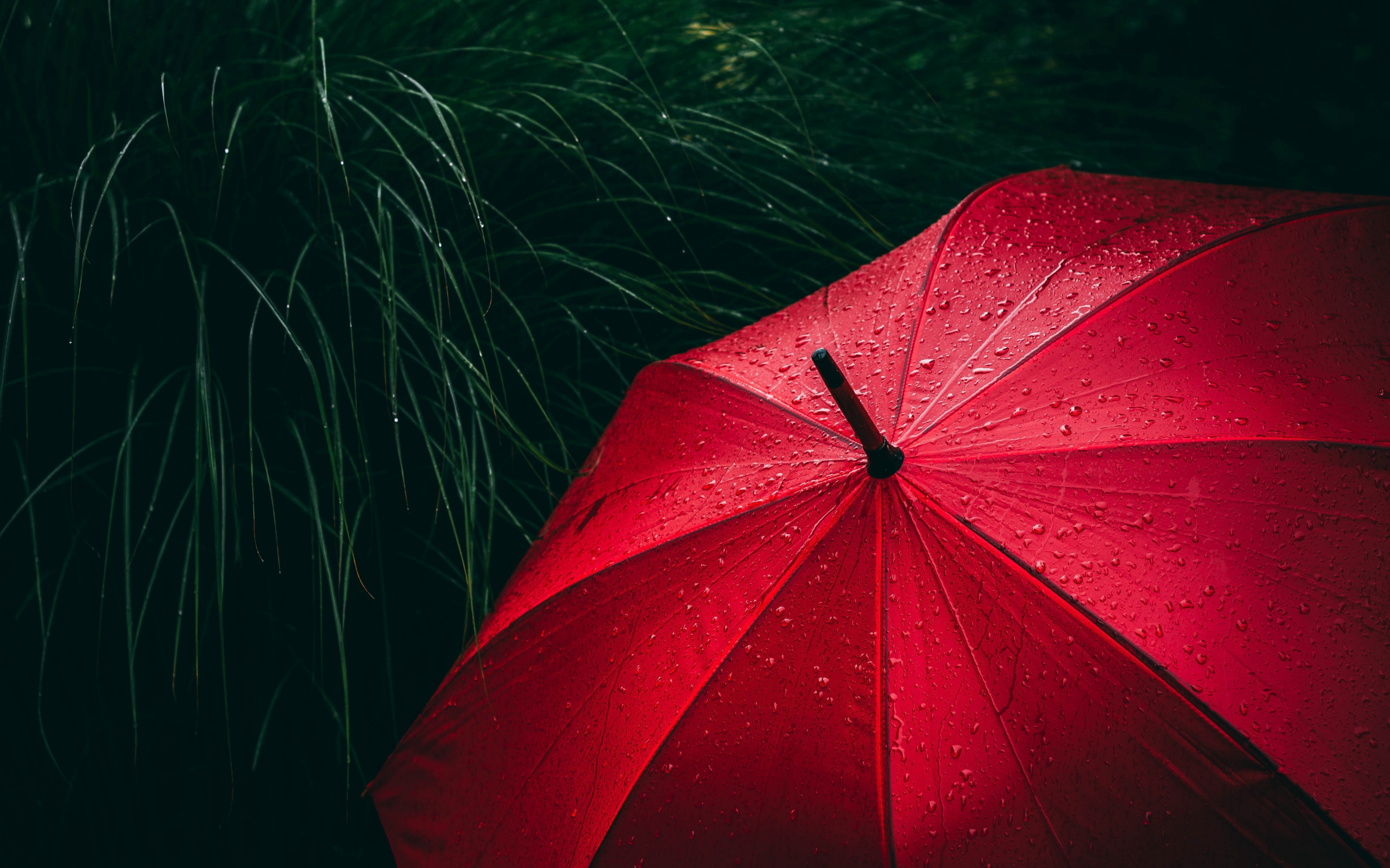 Umbrella red, rain droplets, rain, 2880x1800 wallpaper
