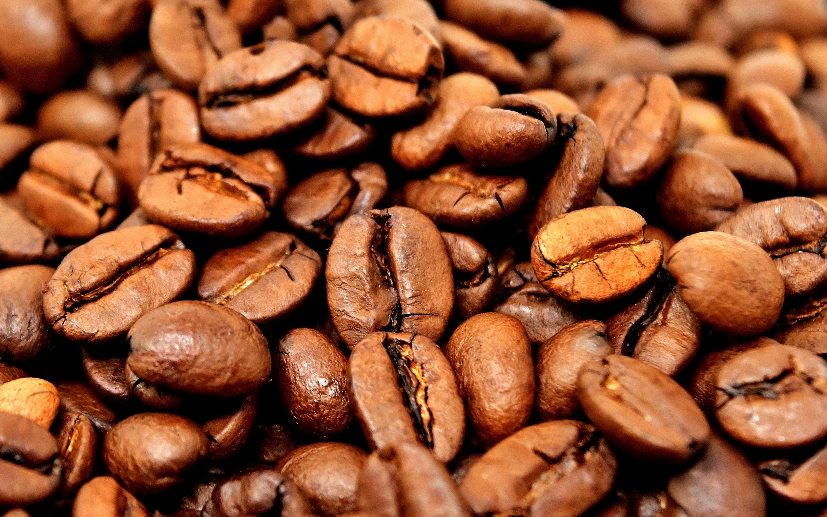 Coffee beans, close up, 2880x1800 wallpaper