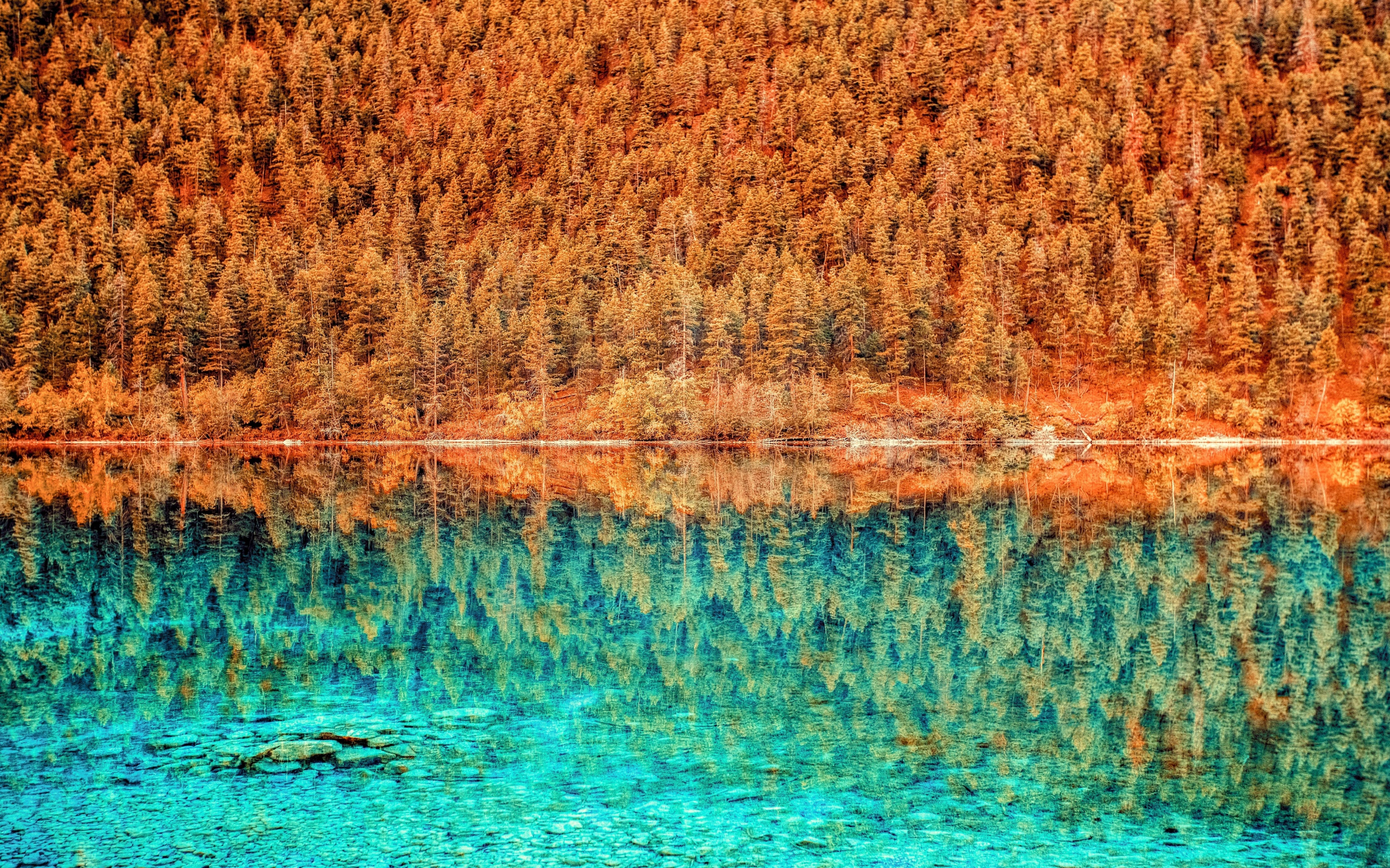 Trees, lake, forest, autumn, nature, reflections, 2880x1800 wallpaper