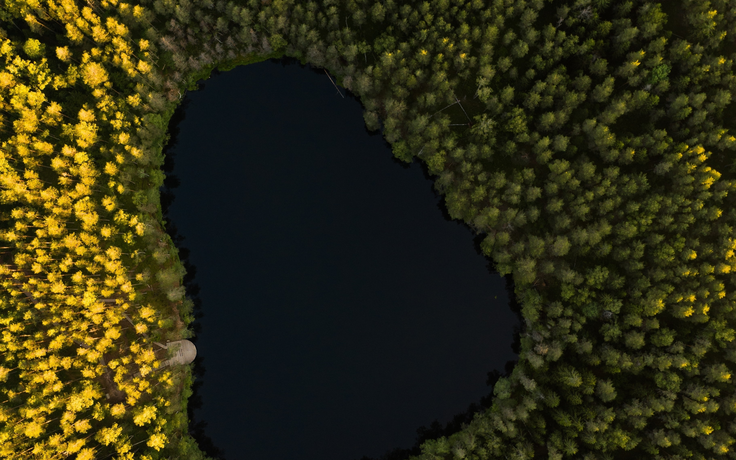 Lake, tree, aerial view, 2880x1800 wallpaper