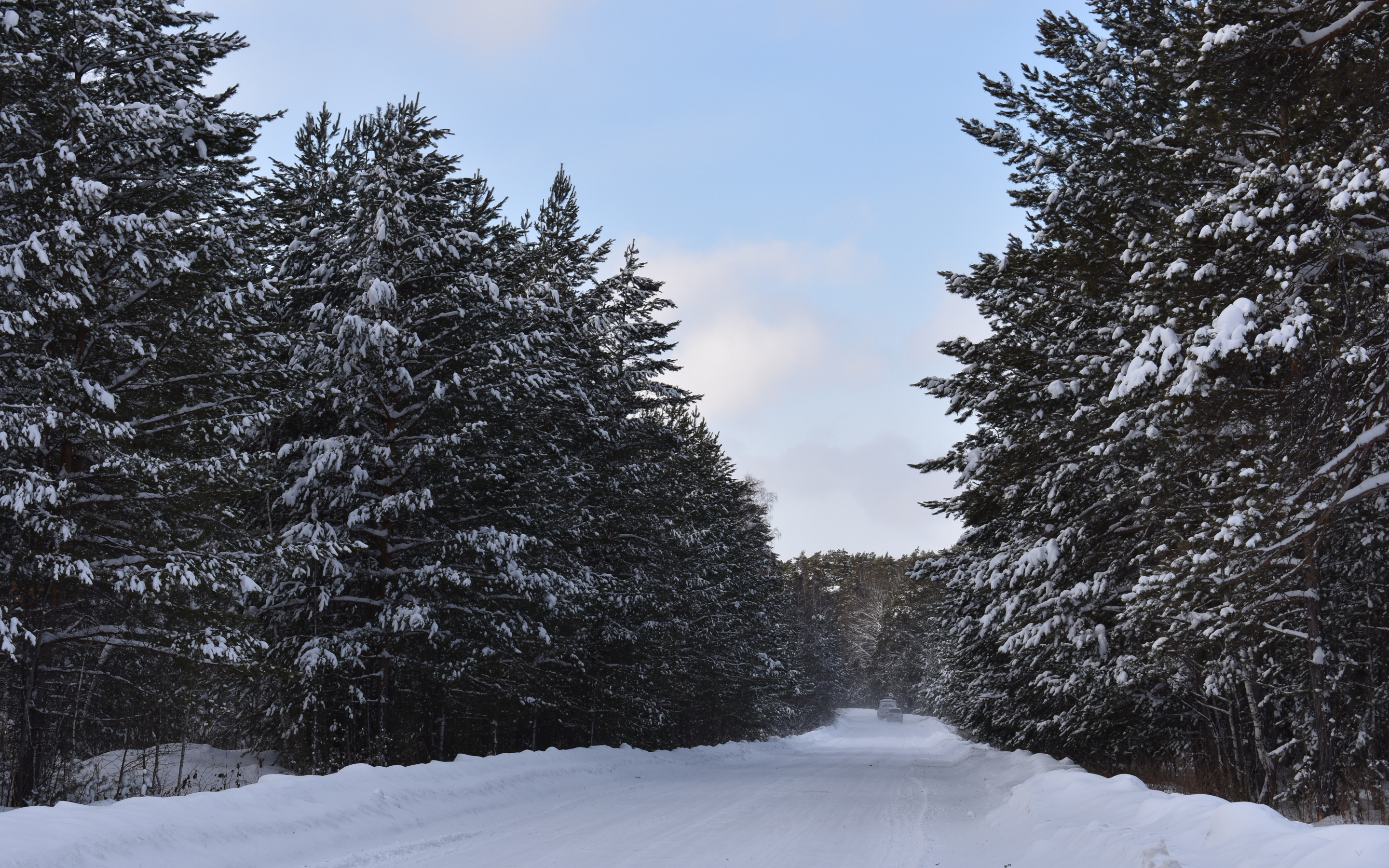 Winter, road, snow layer, nature, 2880x1800 wallpaper