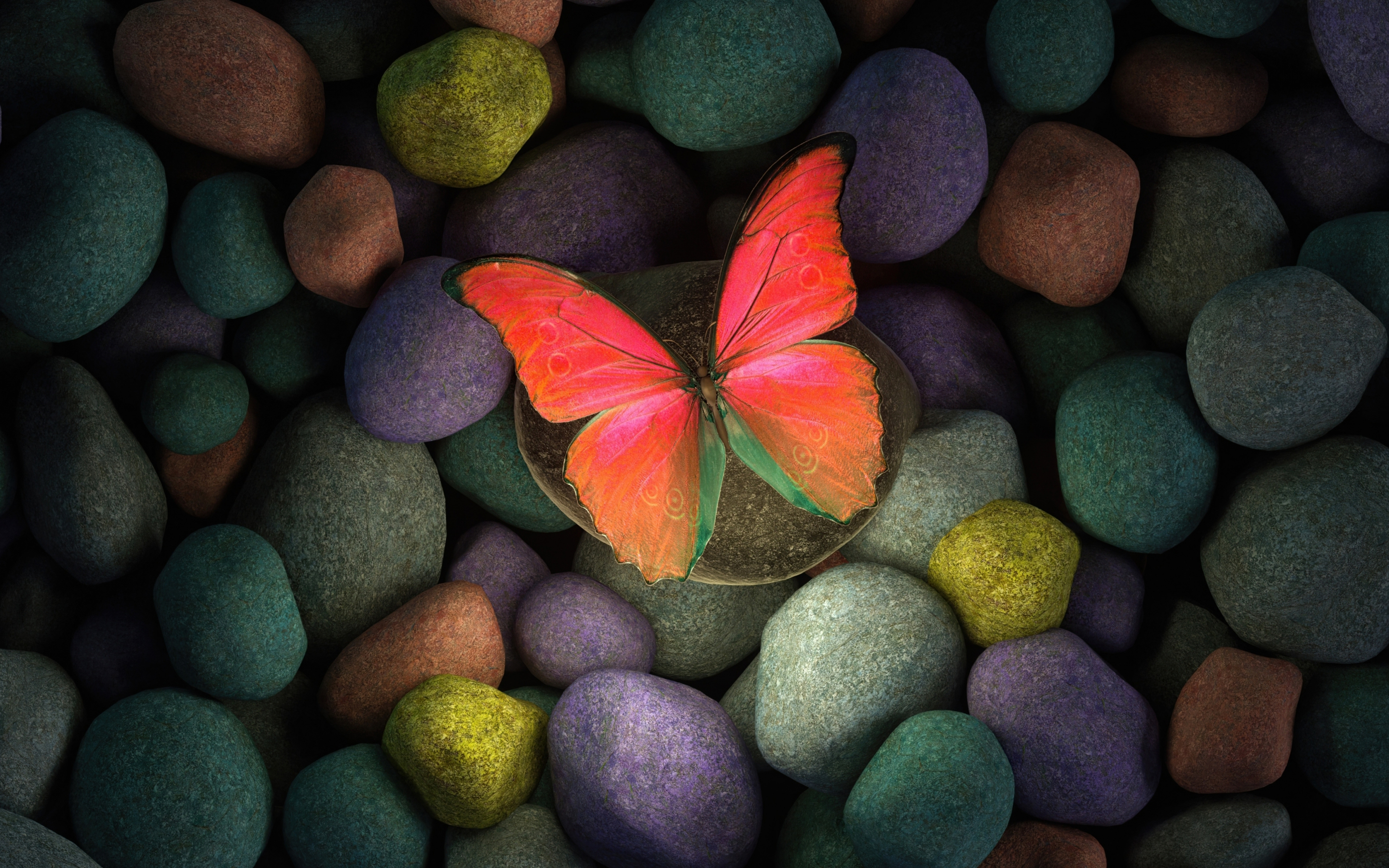 Butterfly on rocks, colorful rocks, art, 2880x1800 wallpaper