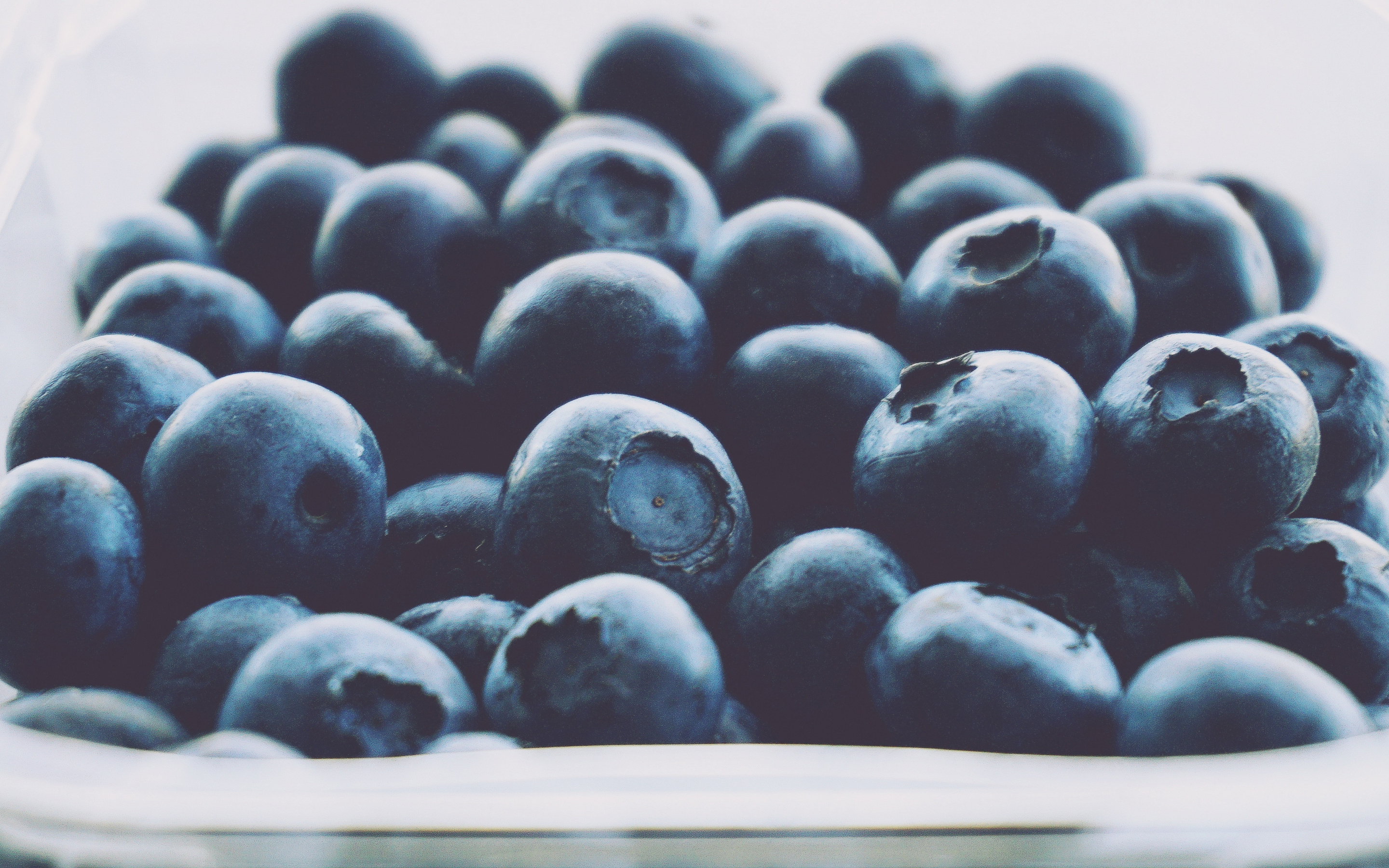 Close up, fruits, blueberry, 2880x1800 wallpaper