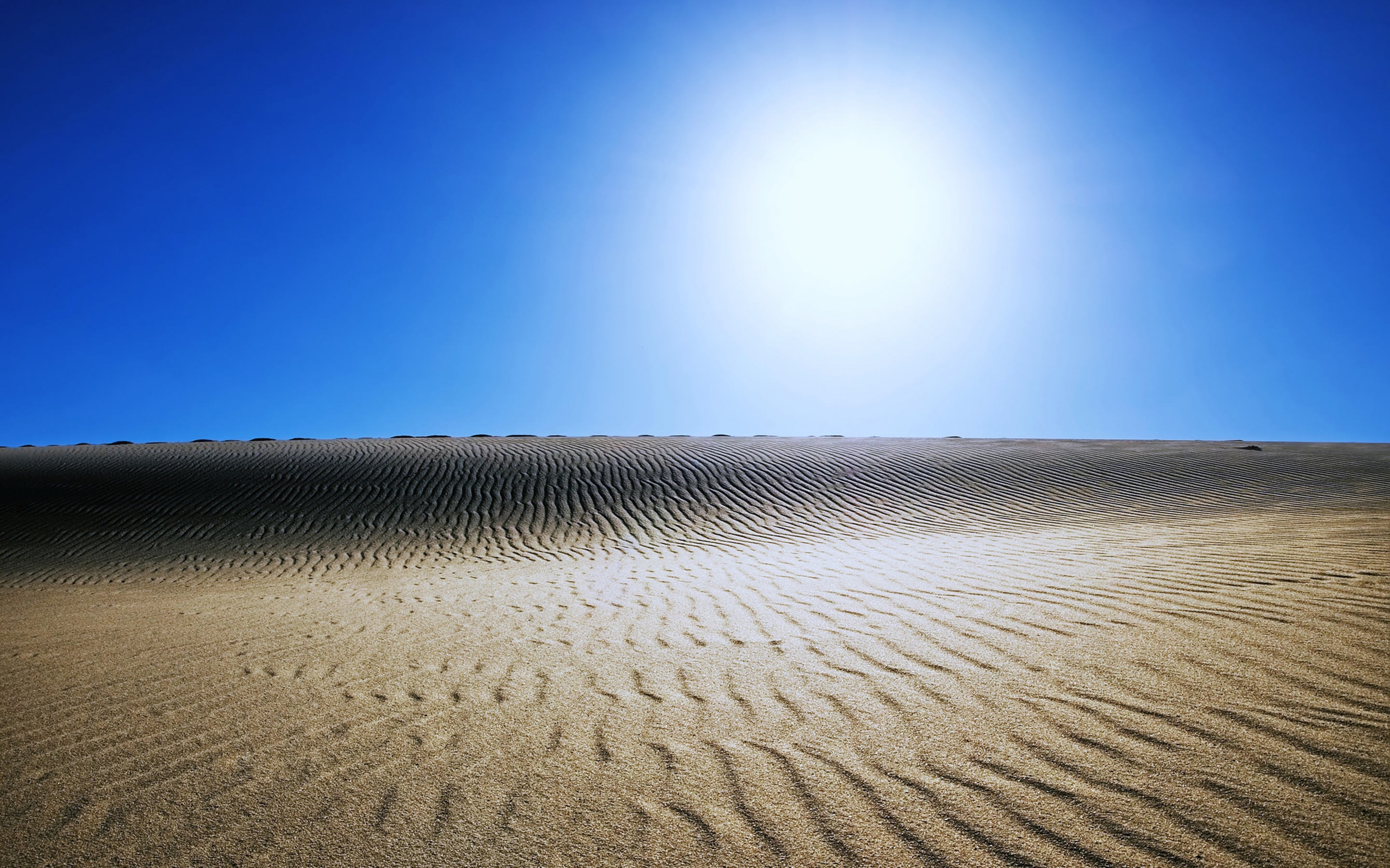 Sahara, sunny day, desert, landscape, 2880x1800 wallpaper