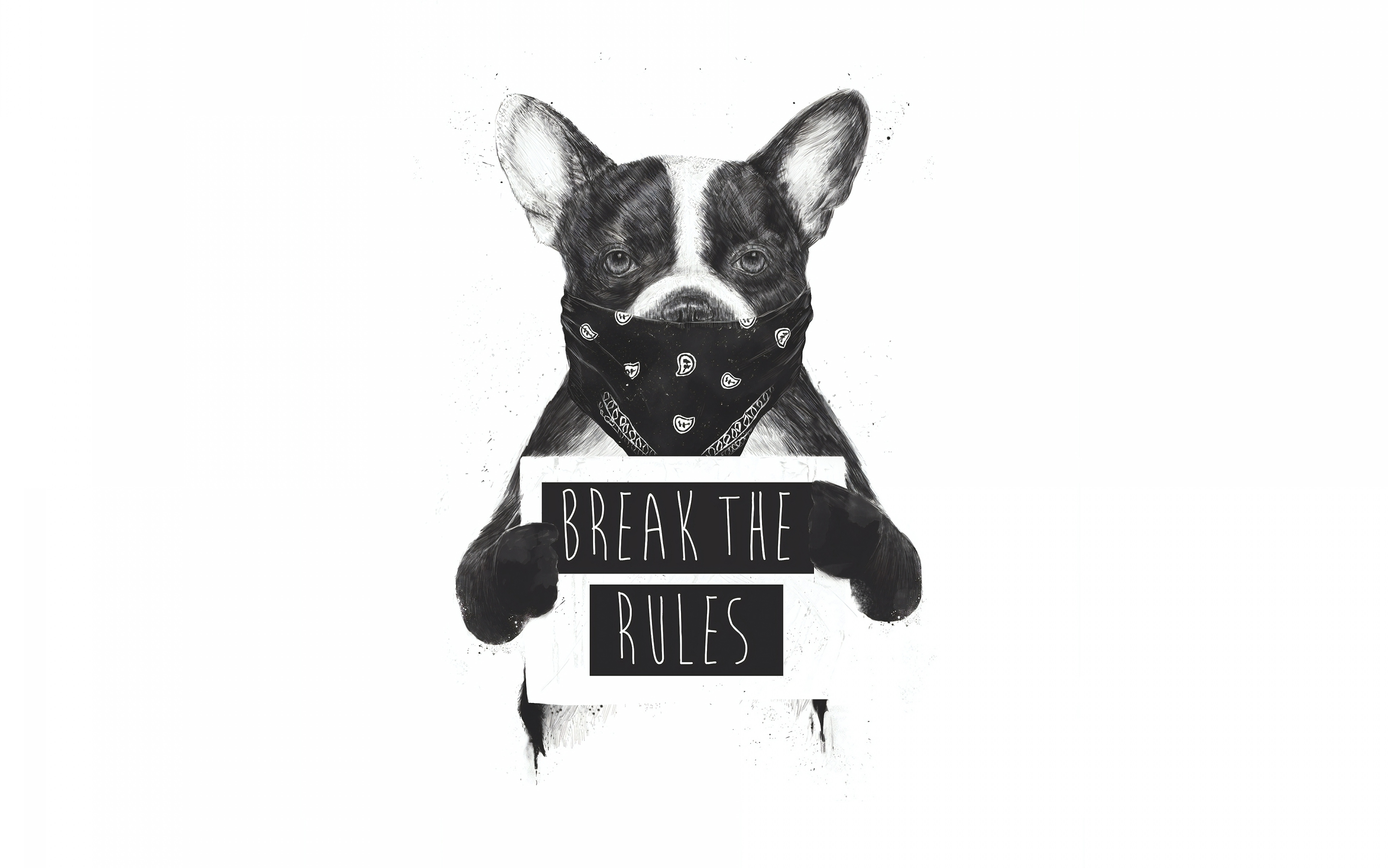 Artwork, bulldog, Rebel dog, bw, 2880x1800 wallpaper