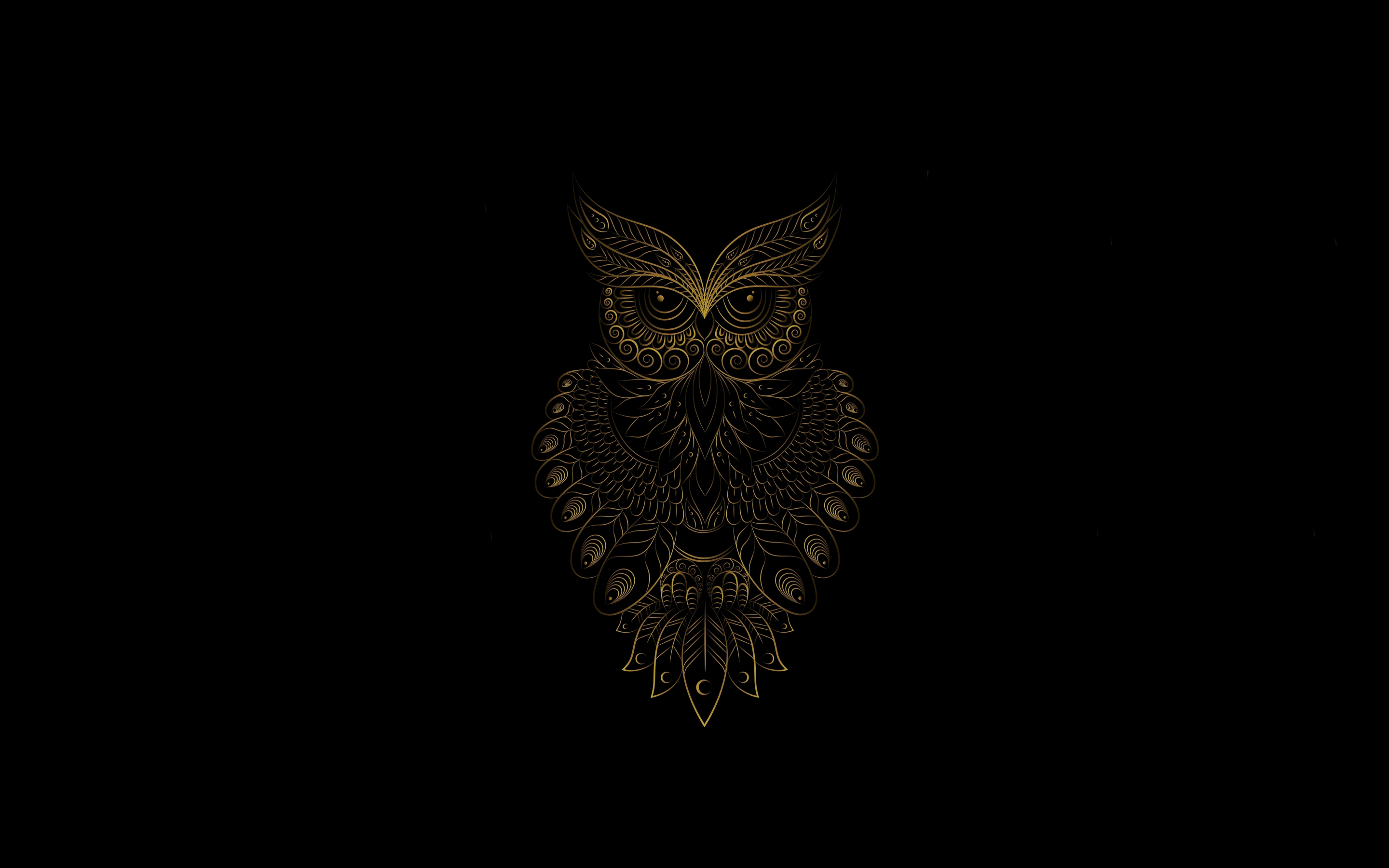 Golden Owl bird, pattern, art, 2880x1800 wallpaper