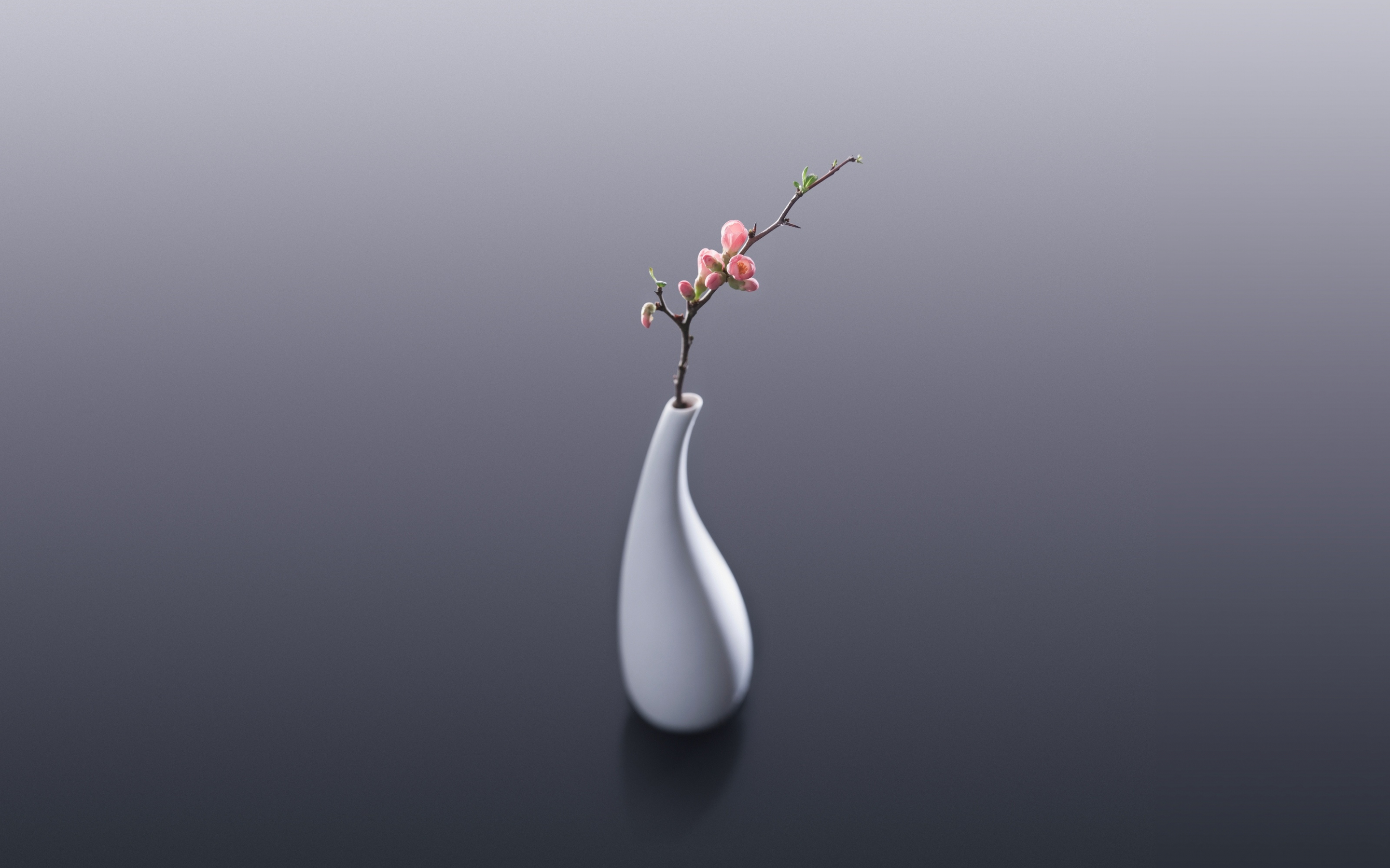 Flowers, vase, minimal, 2880x1800 wallpaper