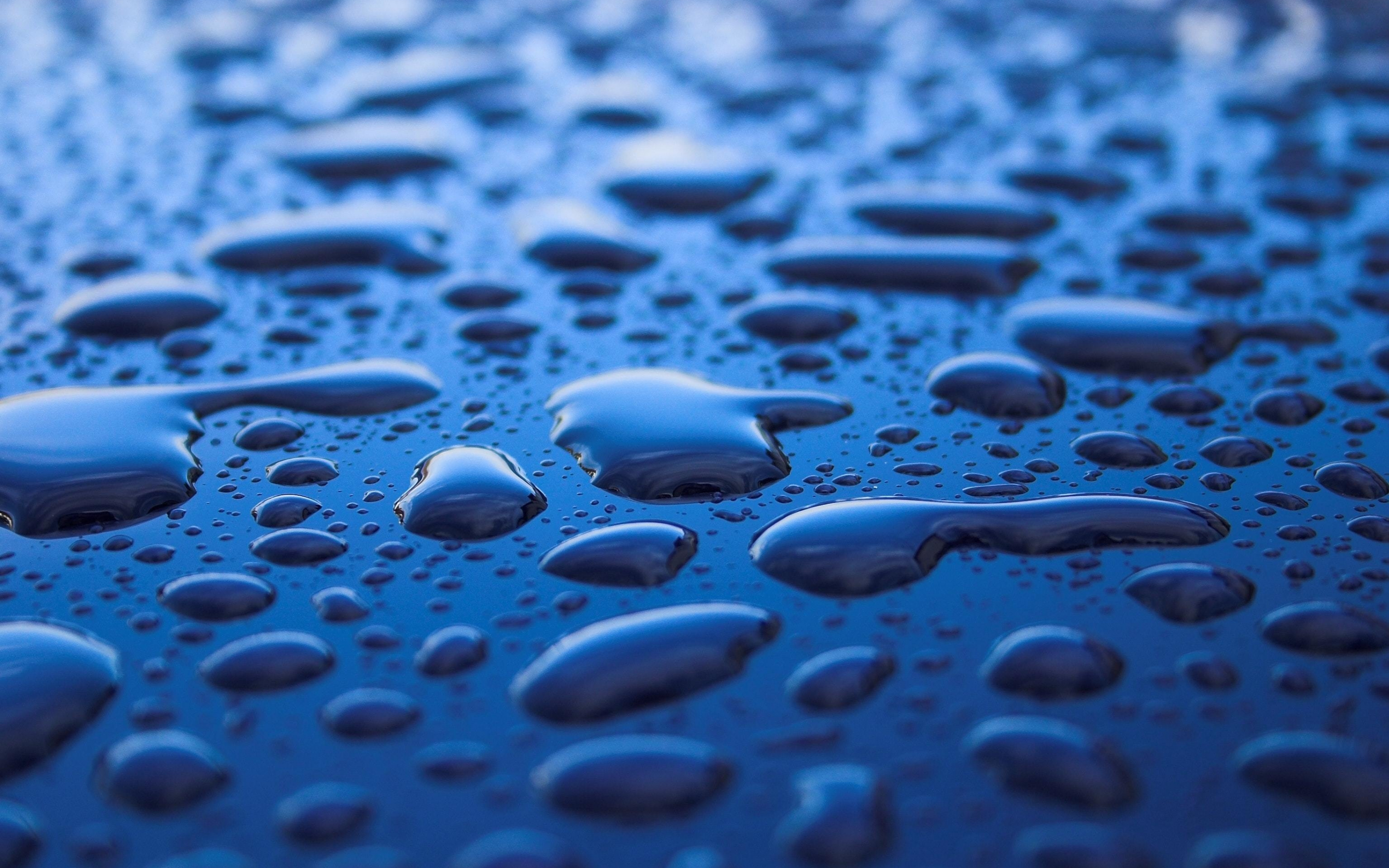 Drops, blue surface, 2880x1800 wallpaper