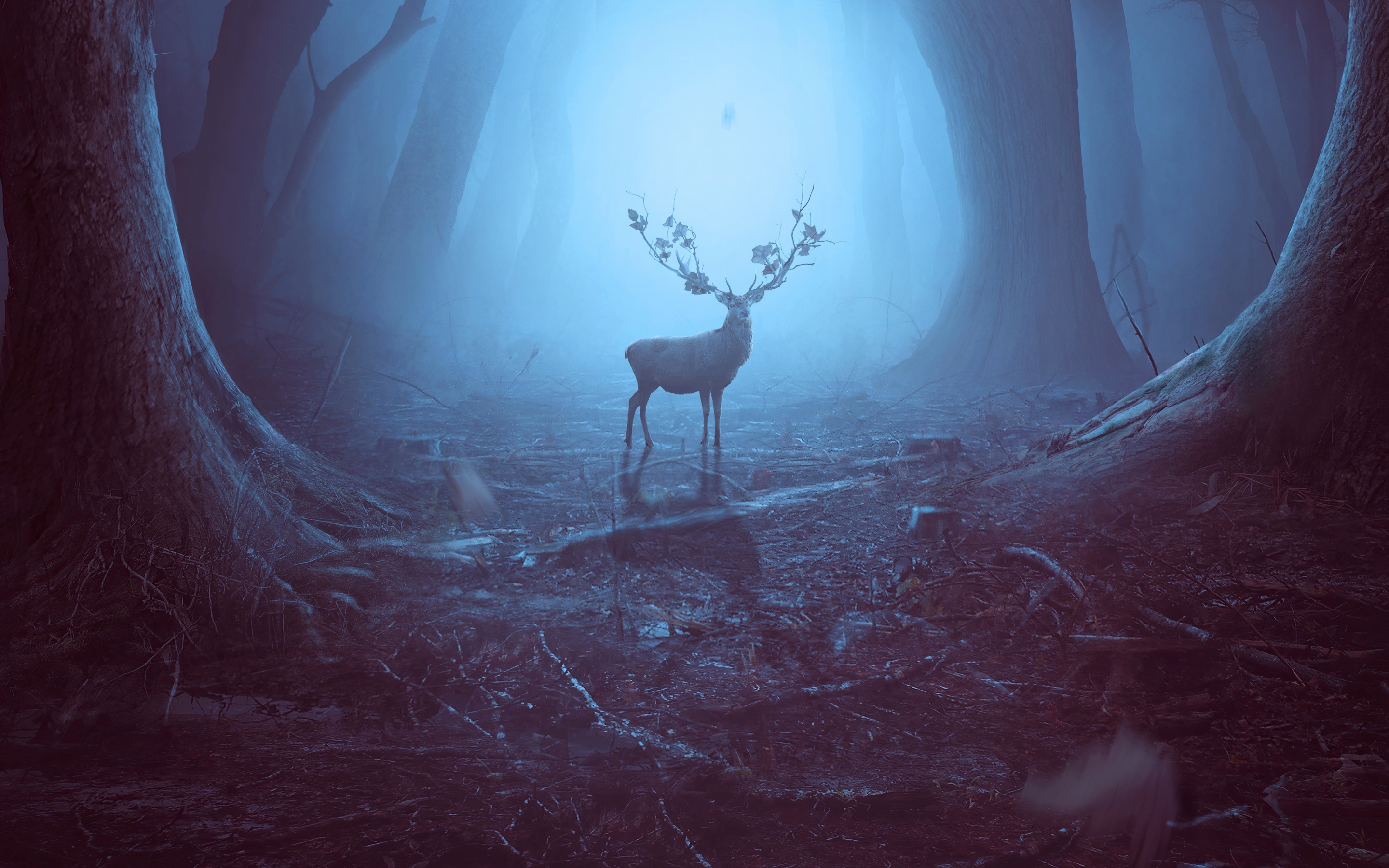 Into the woods, Reindeer, wildlife, art, 2880x1800 wallpaper