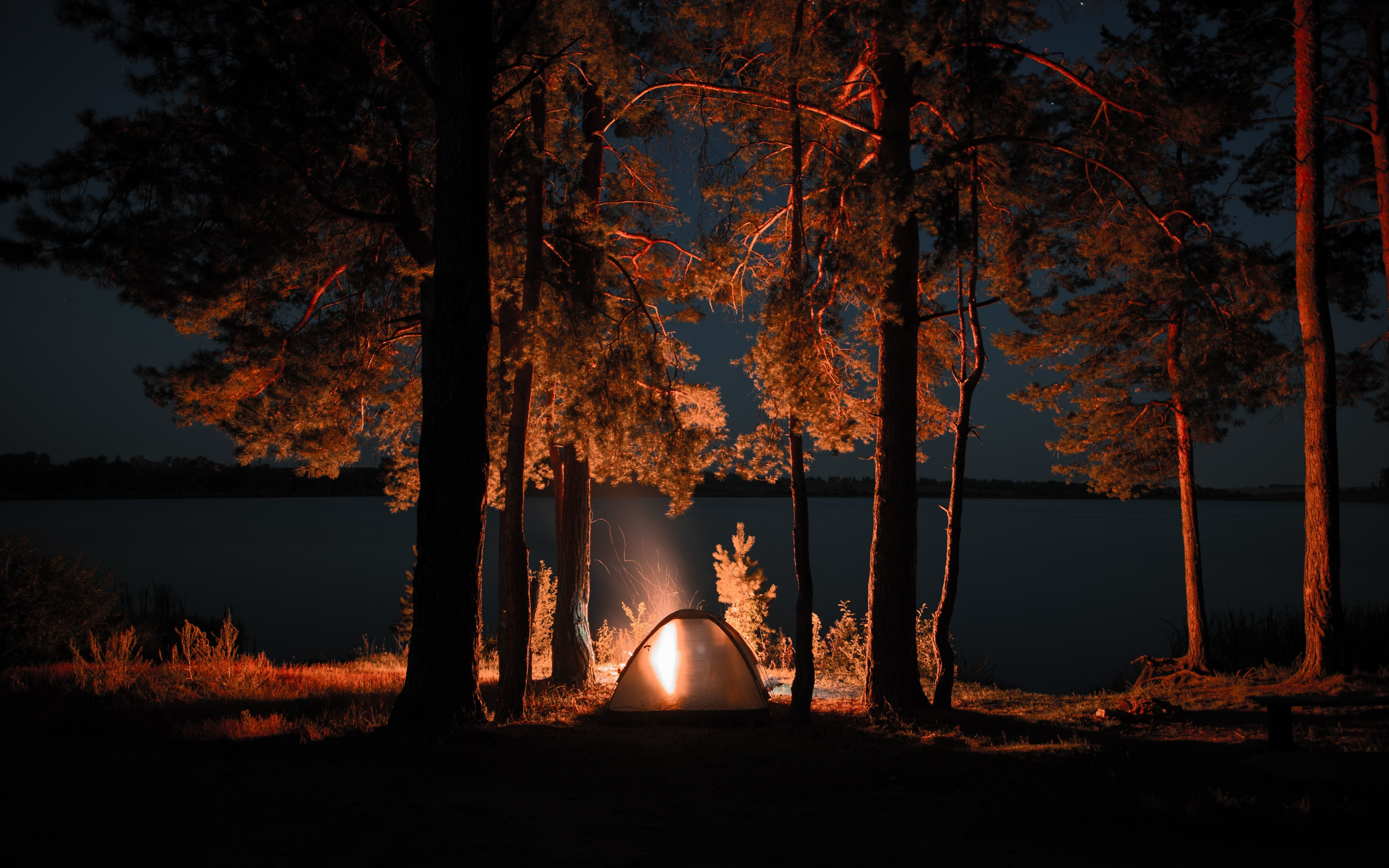 Outing, campfire, trees, tent, night, 2880x1800 wallpaper
