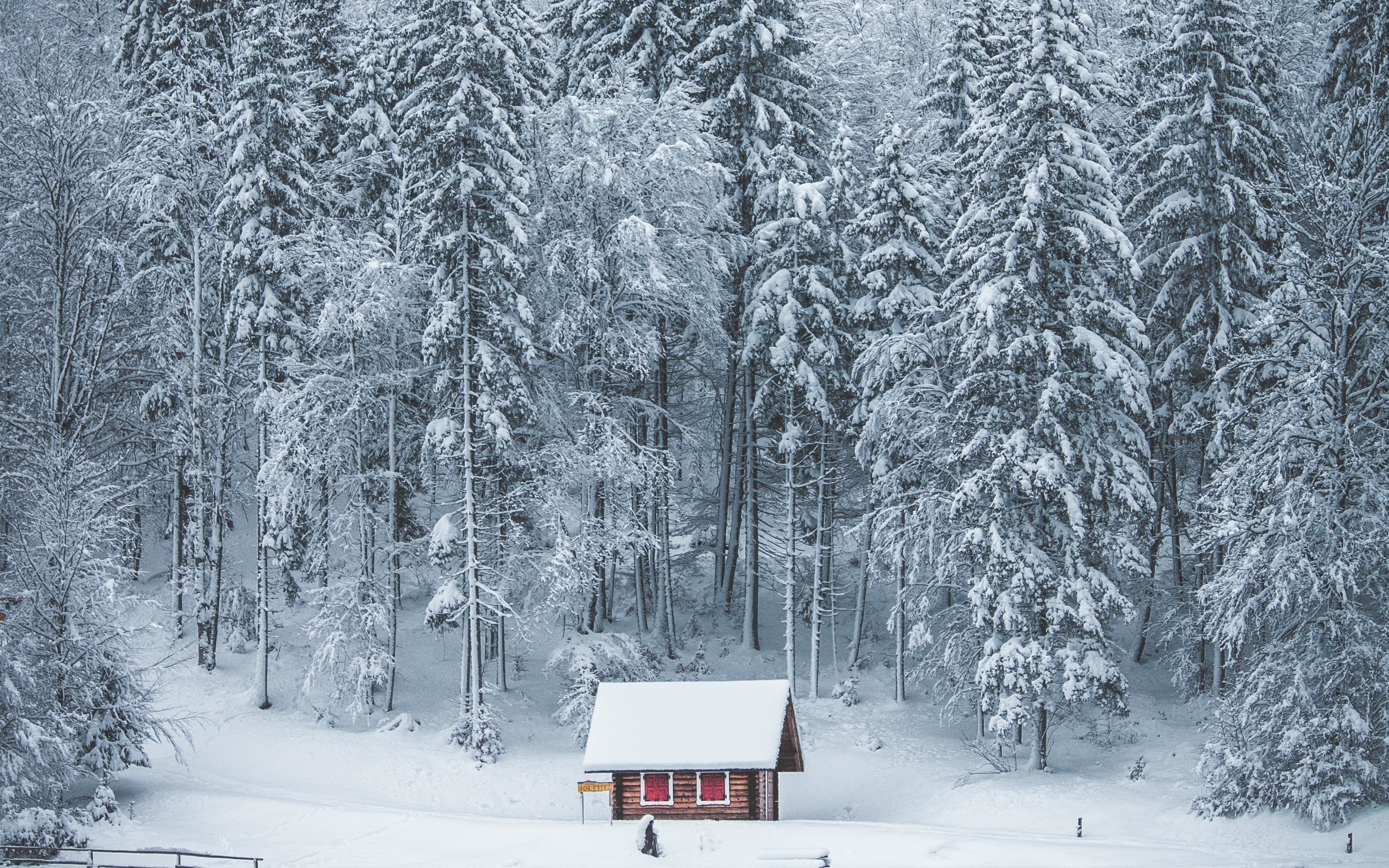 Winter, house, lake, frozen lake, forest, nature, 2880x1800 wallpaper