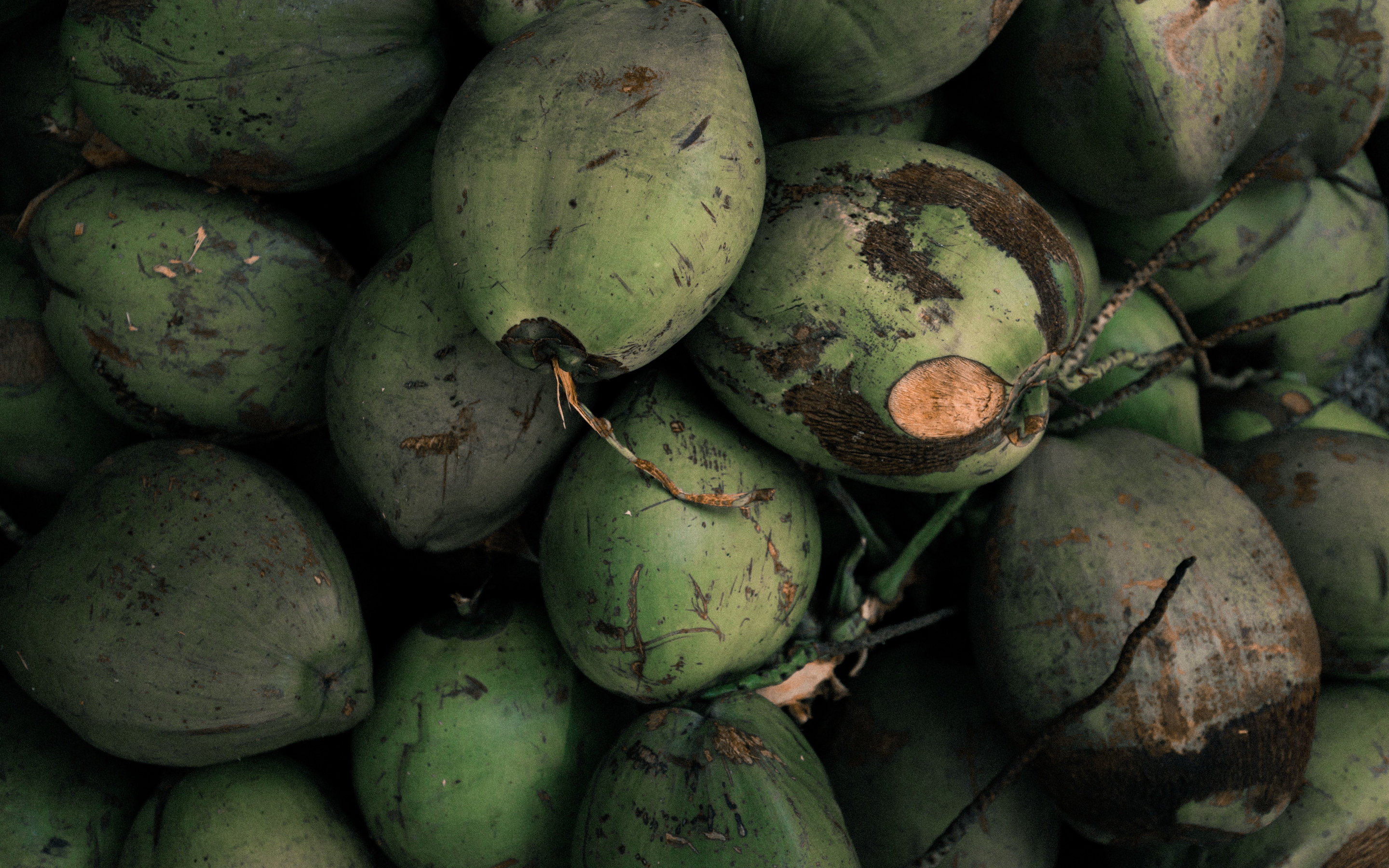 Coconut, green, closeup, 2880x1800 wallpaper