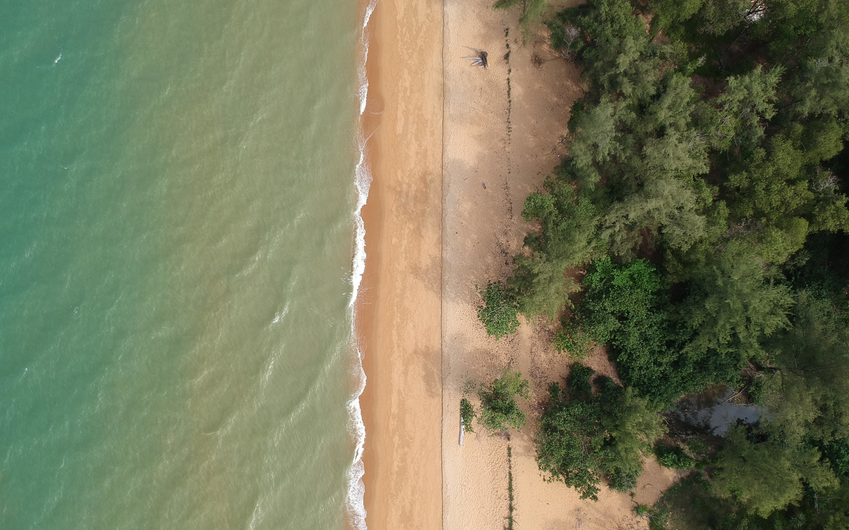 Aerial shot, trees, beach, 2880x1800 wallpaper