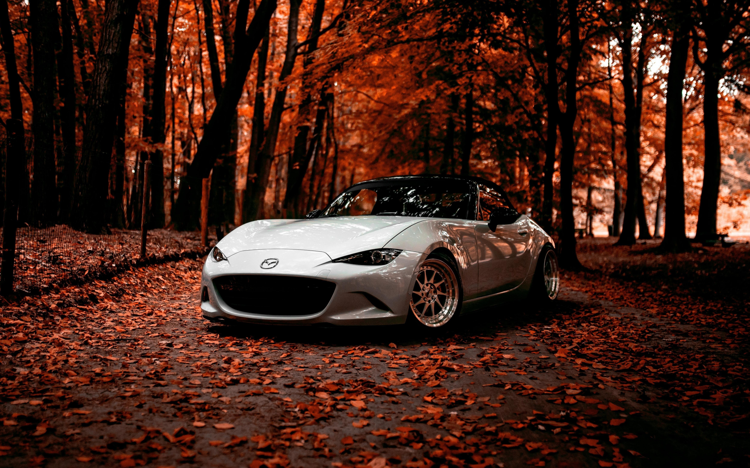 Mazda, off-road, autumn, sports car, 2880x1800 wallpaper
