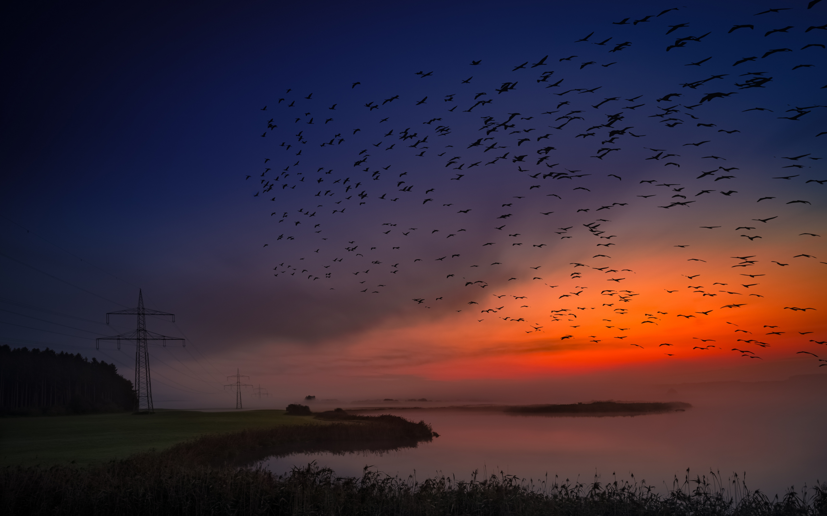 Sunset, birds, sky, coast, skyline, 2880x1800 wallpaper