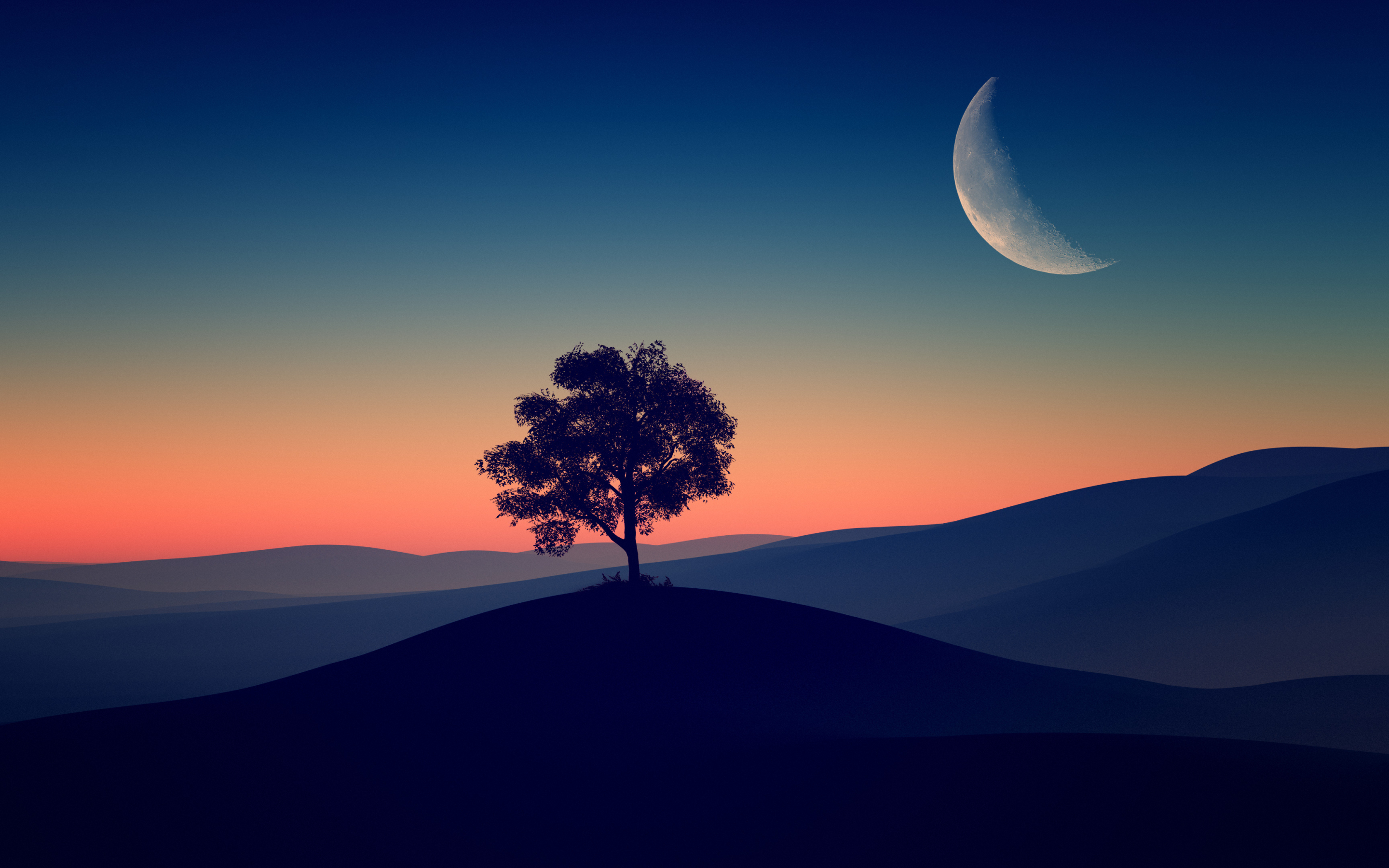 Tree, dark evening, silhouette, 2880x1800 wallpaper