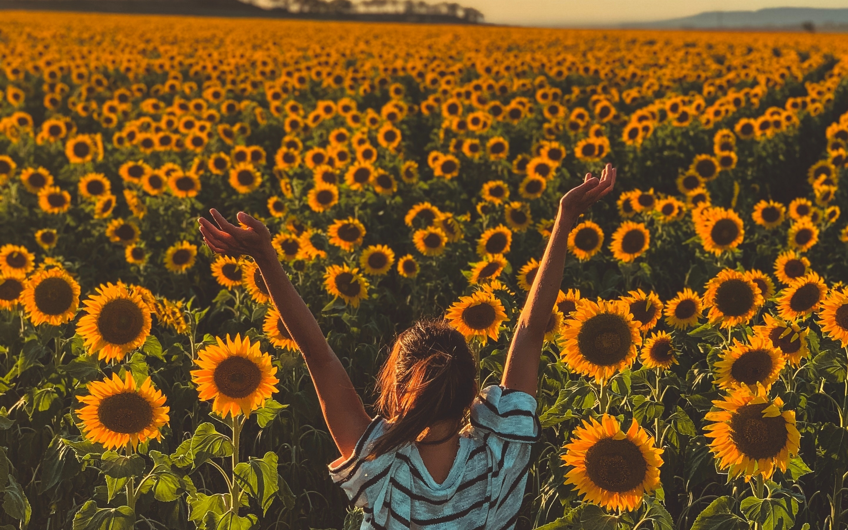 Sunny day, sunflowers, farm, woman, 2880x1800 wallpaper