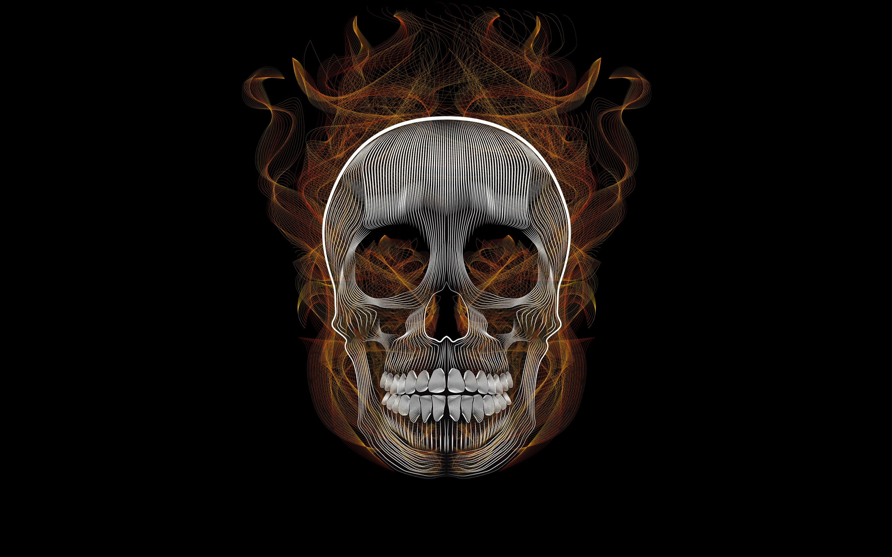 Blend, skull, vector, illustration, 2880x1800 wallpaper