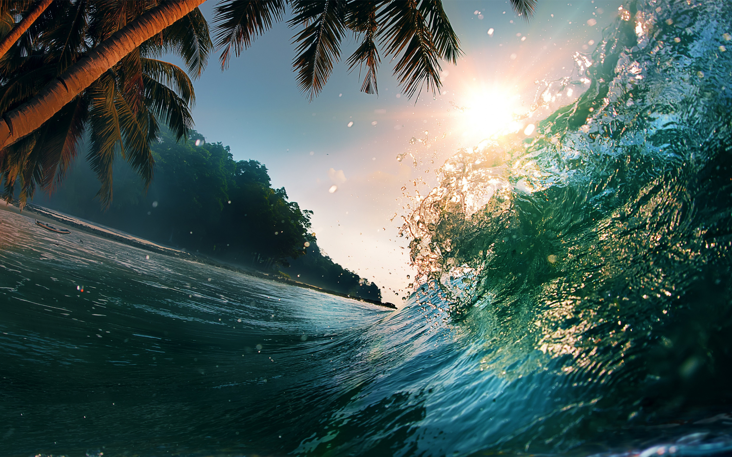 Water splashes, palm tree, sea waves, tide, nature, 2880x1800 wallpaper