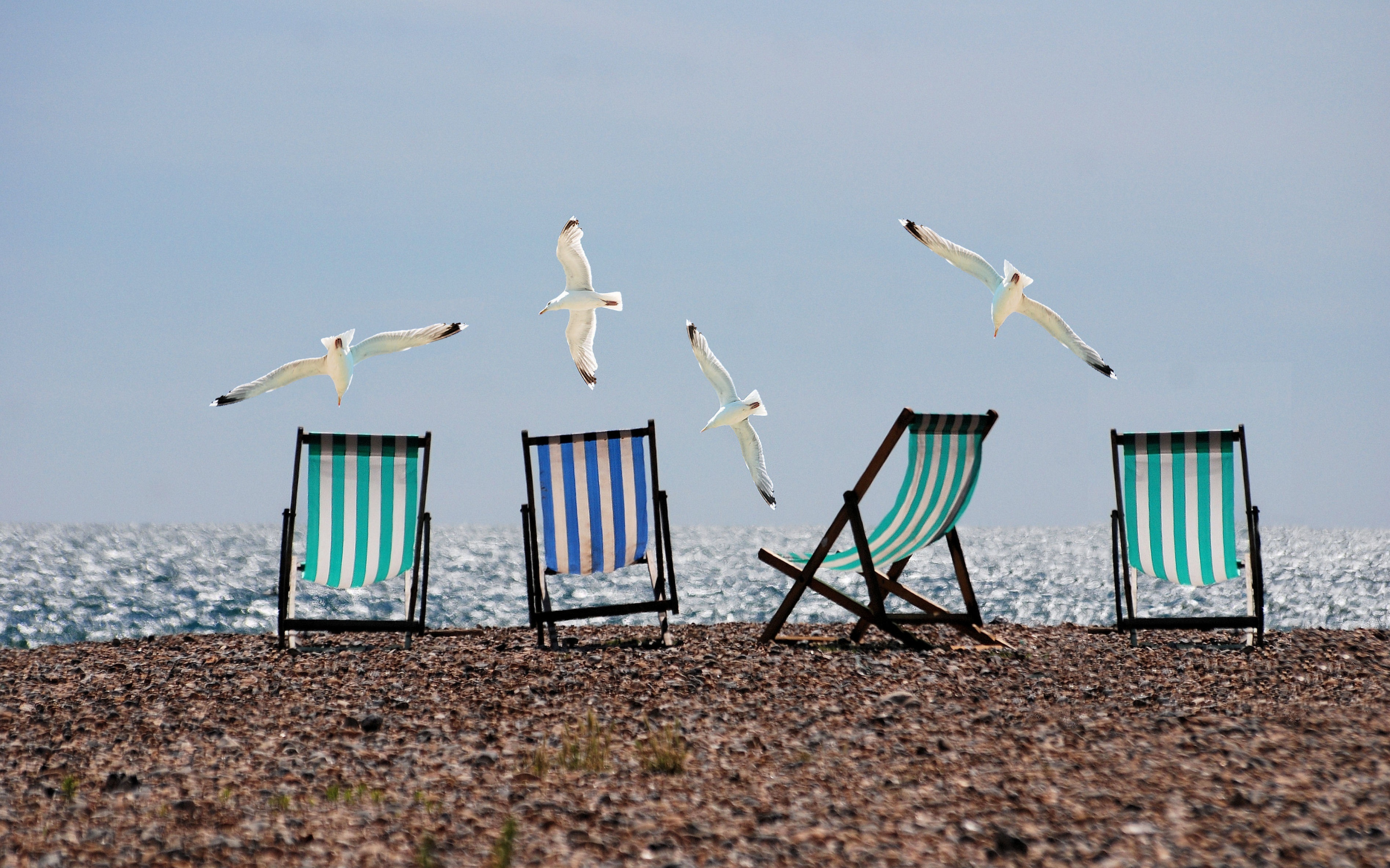 Summer, beach, seagulls, deckchairs, 2880x1800 wallpaper