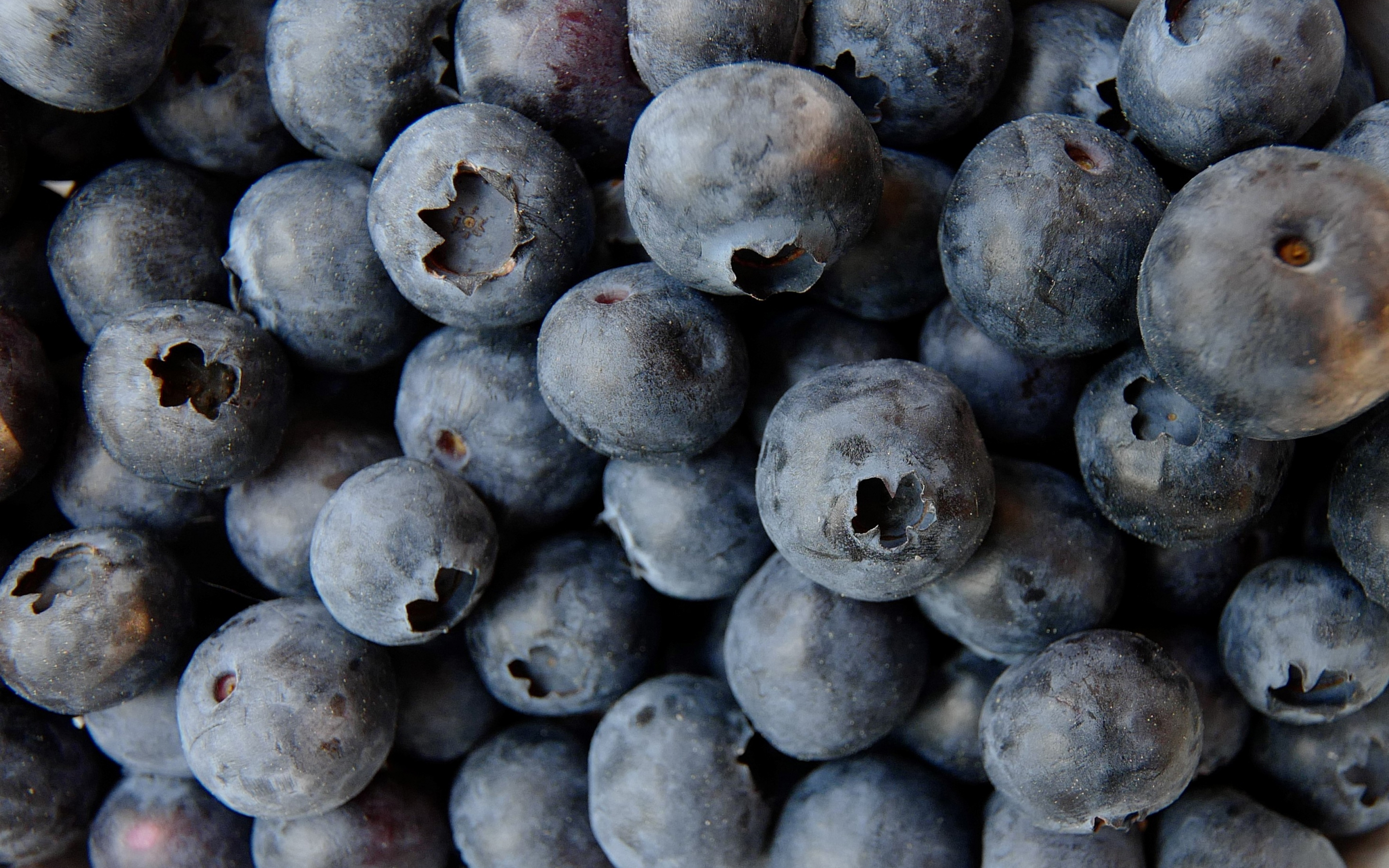 Blueberry, fresh, close up, 2880x1800 wallpaper