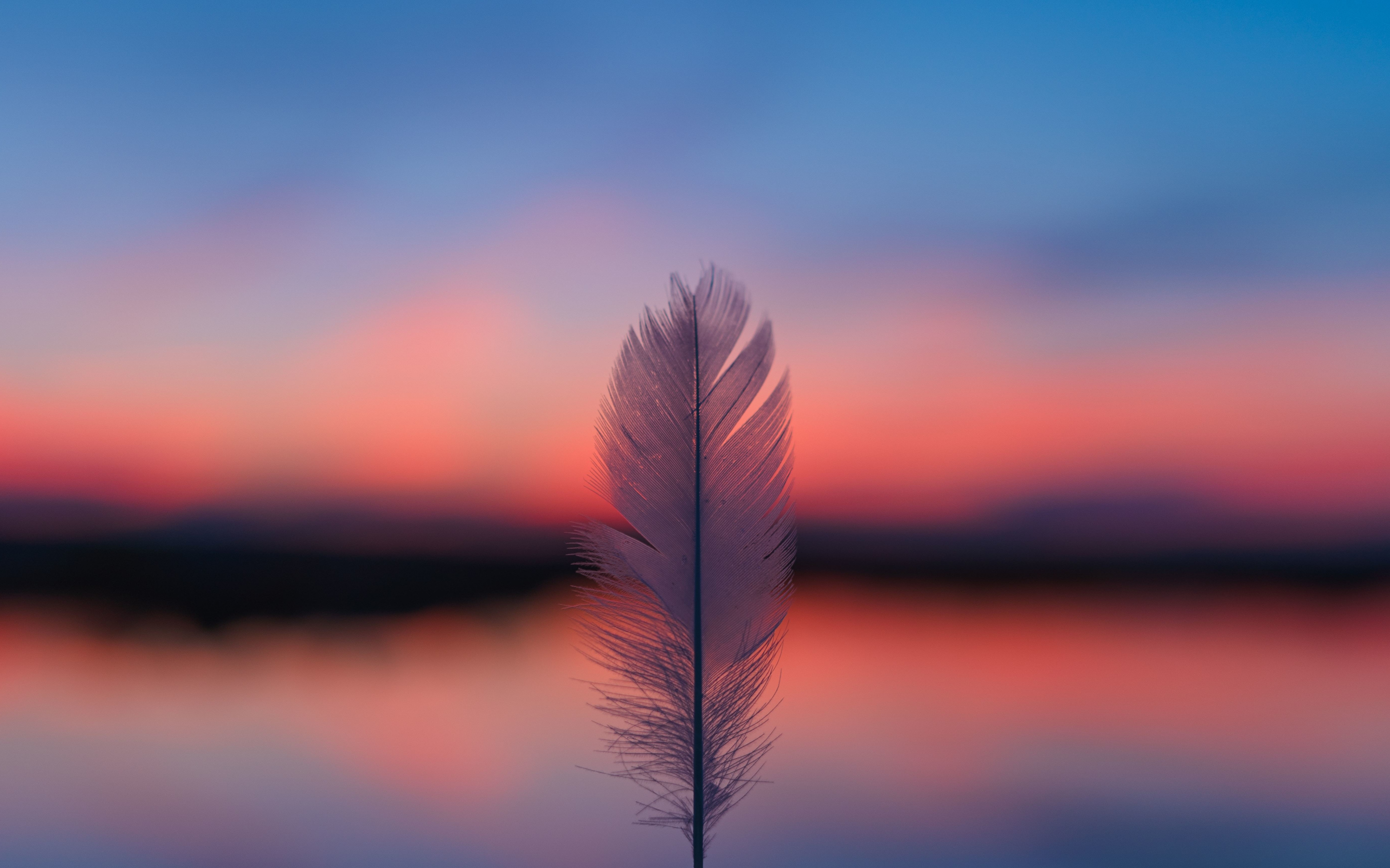 Feather, focus, blur, sunset, 2880x1800 wallpaper