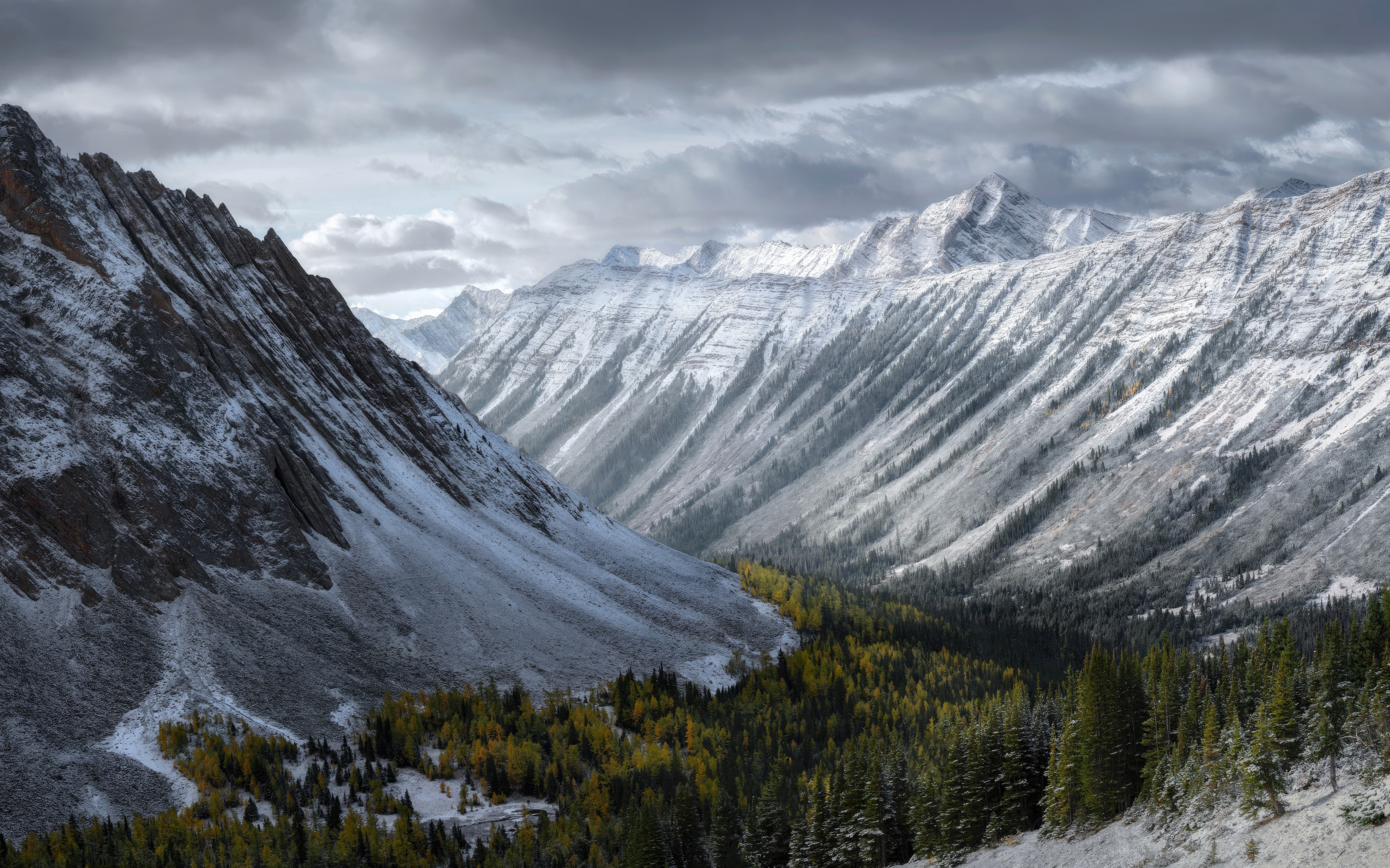Frozen world, wonderland trees, valley and forest, nature, 2880x1800 wallpaper