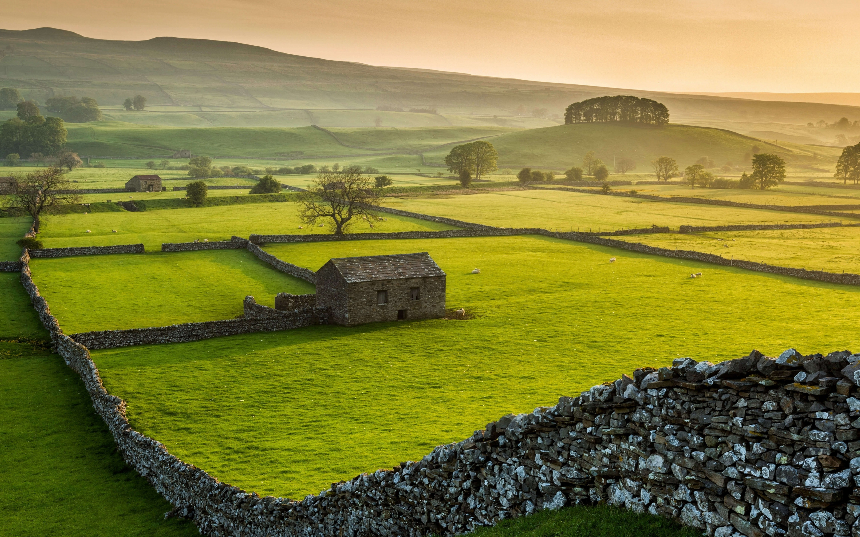 Farms, landscape, Yorkshire Dales national park, nature, 2880x1800 wallpaper