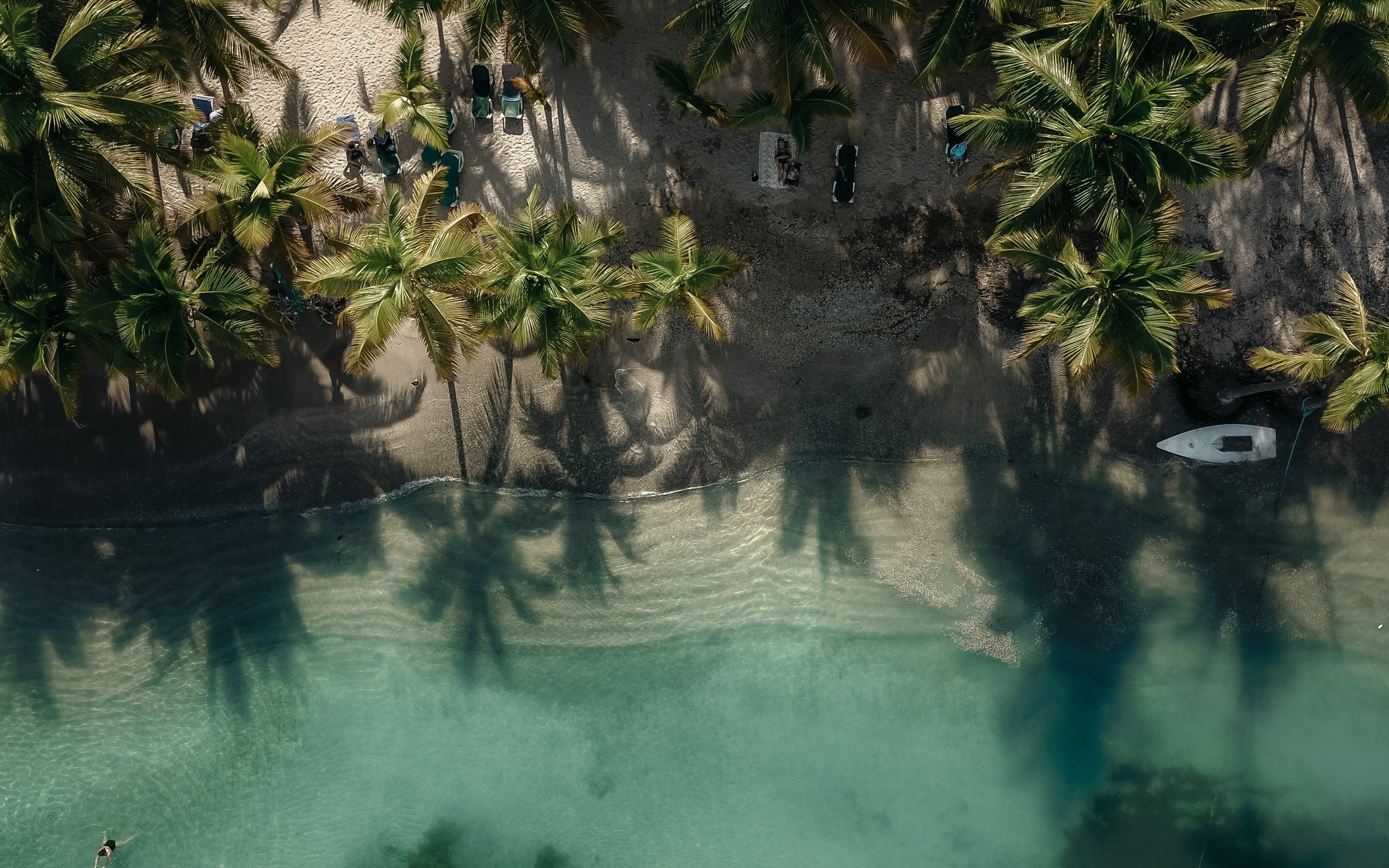 Exotic, beach, palm trees, drone view, 2880x1800 wallpaper